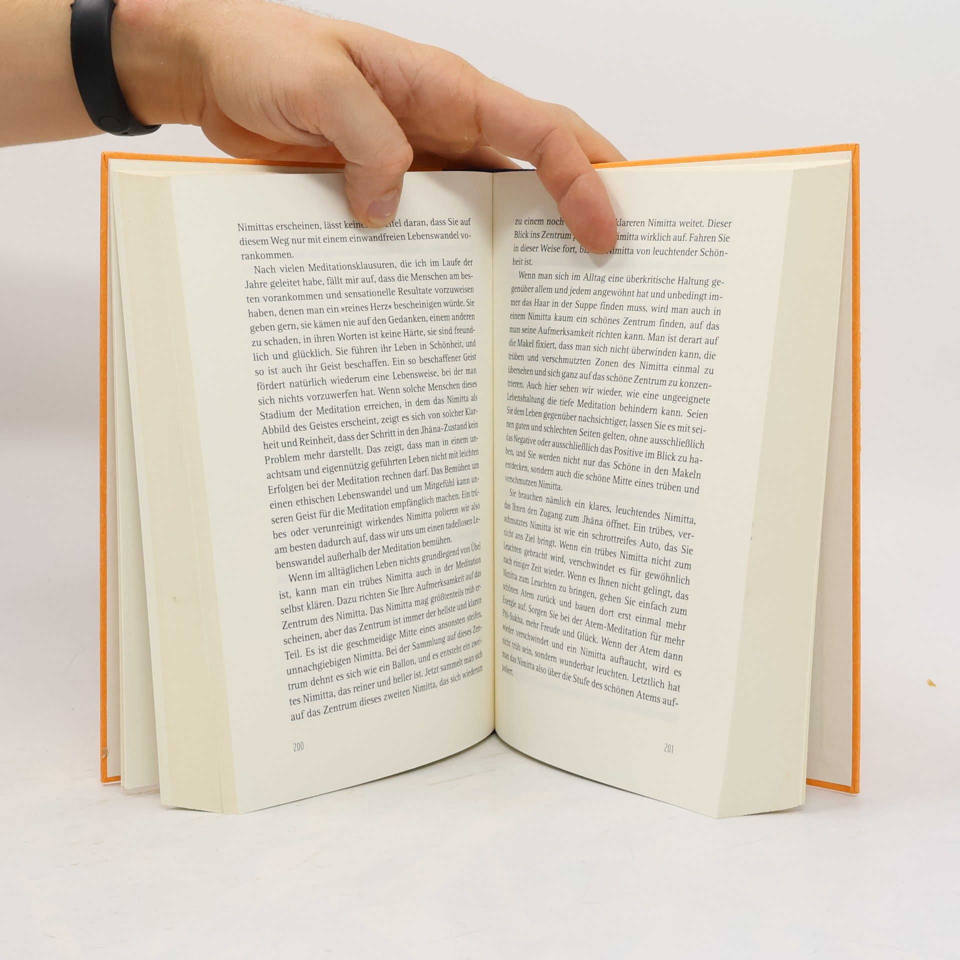 Brahmavamsó Im stillen Meer des Glücks. Handbuch der buddhistischen Meditation