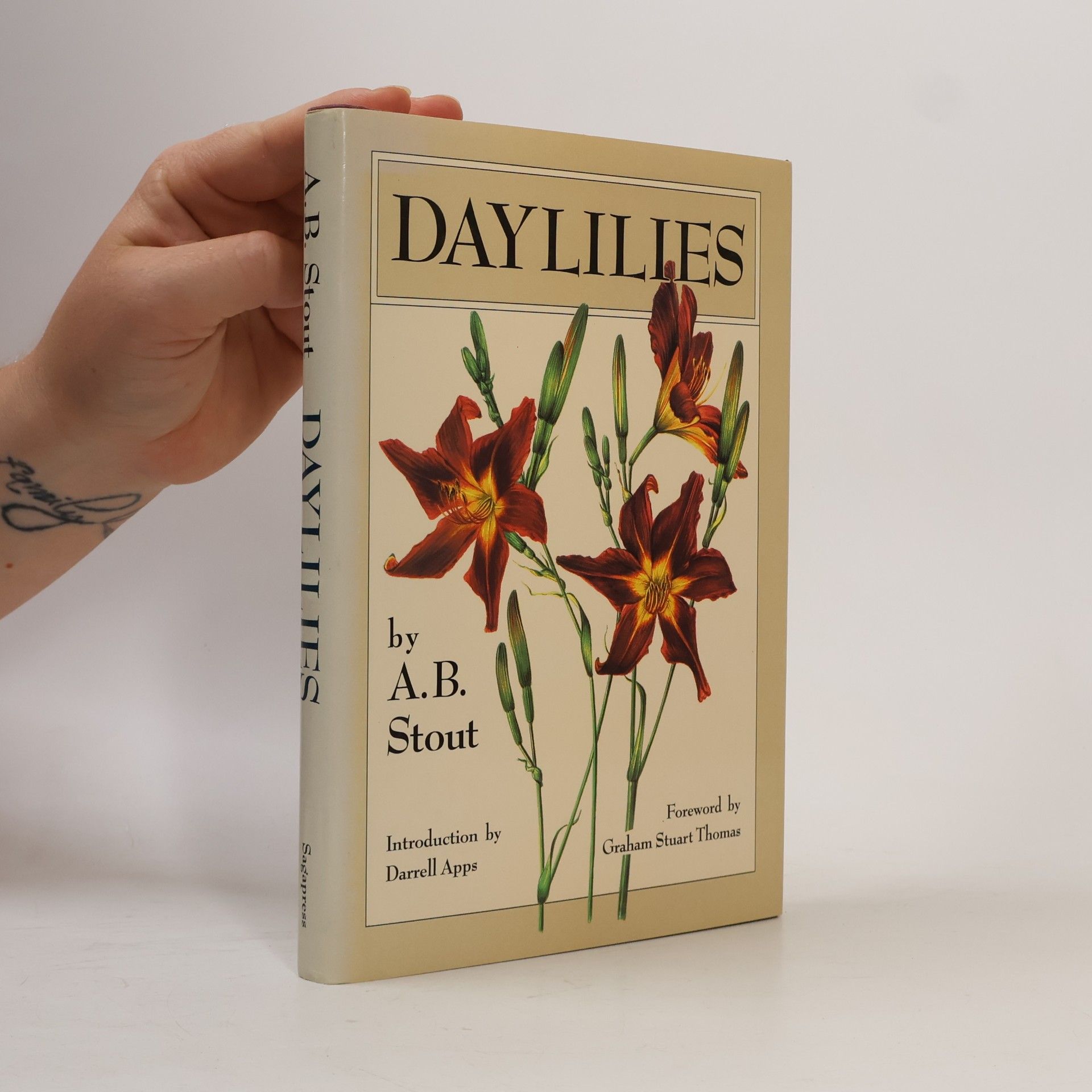 Daylilies