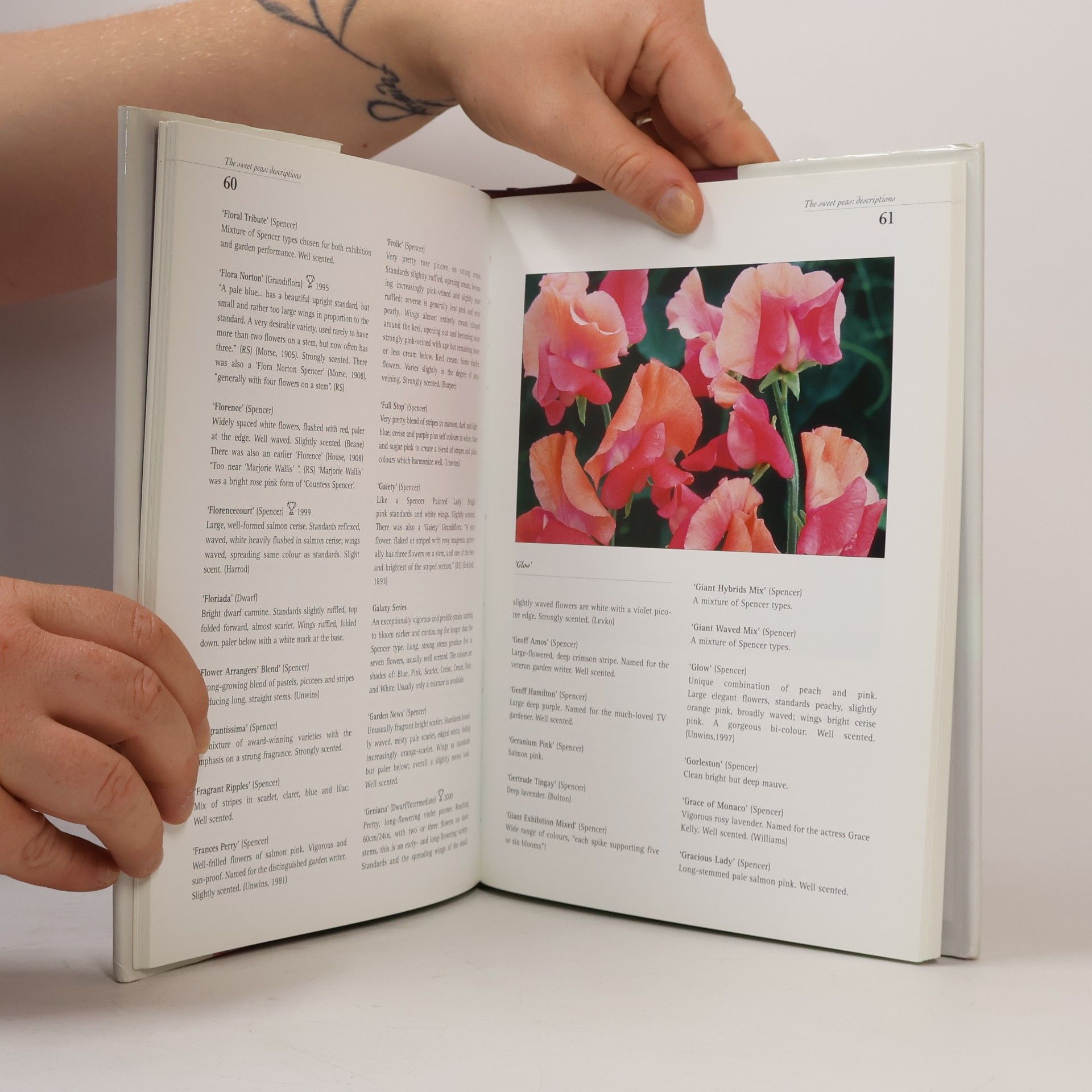 Graham Rice The Sweet Pea Book