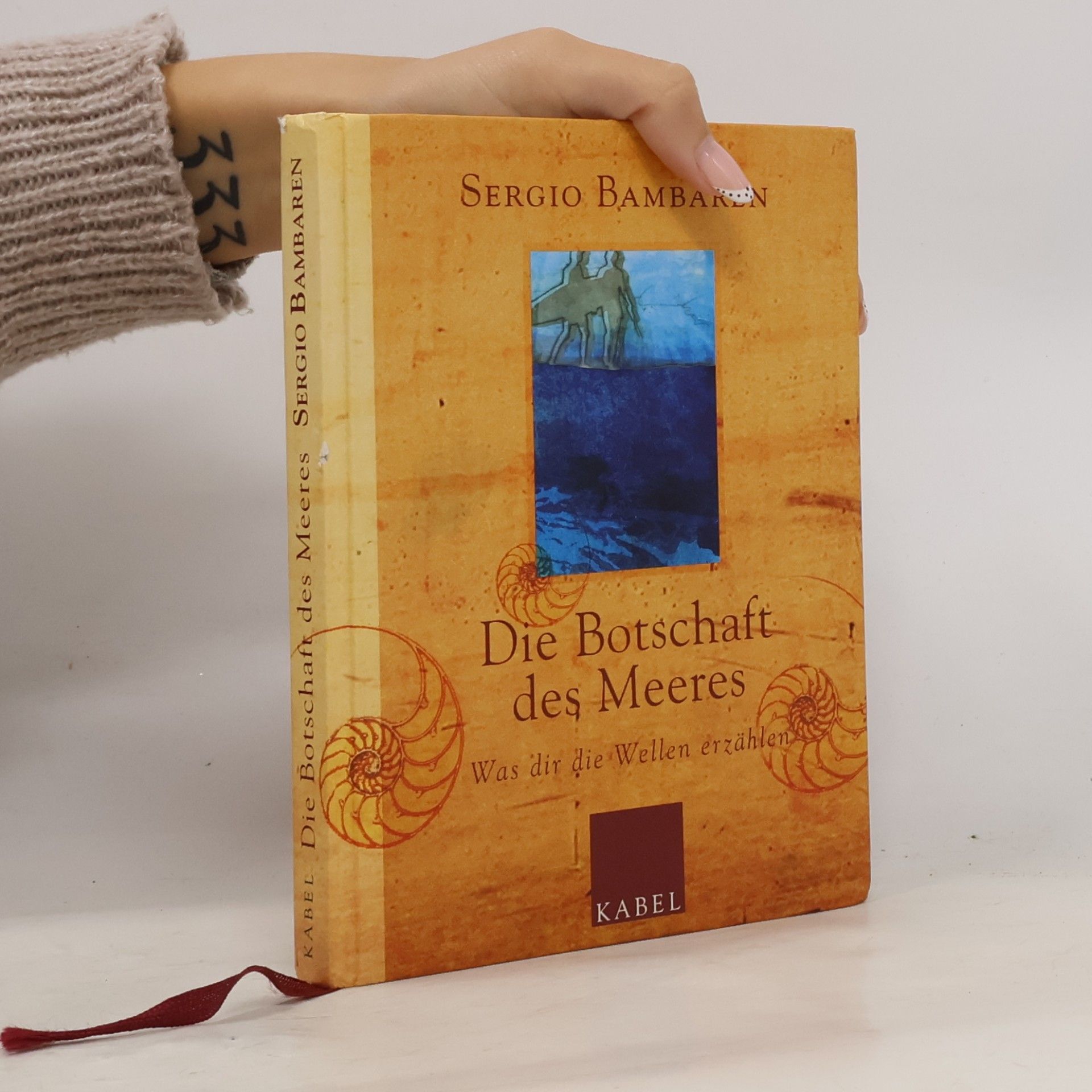 Sergio Bambarén Die Botschaft des Meeres : Was dir die Wellen erzählen