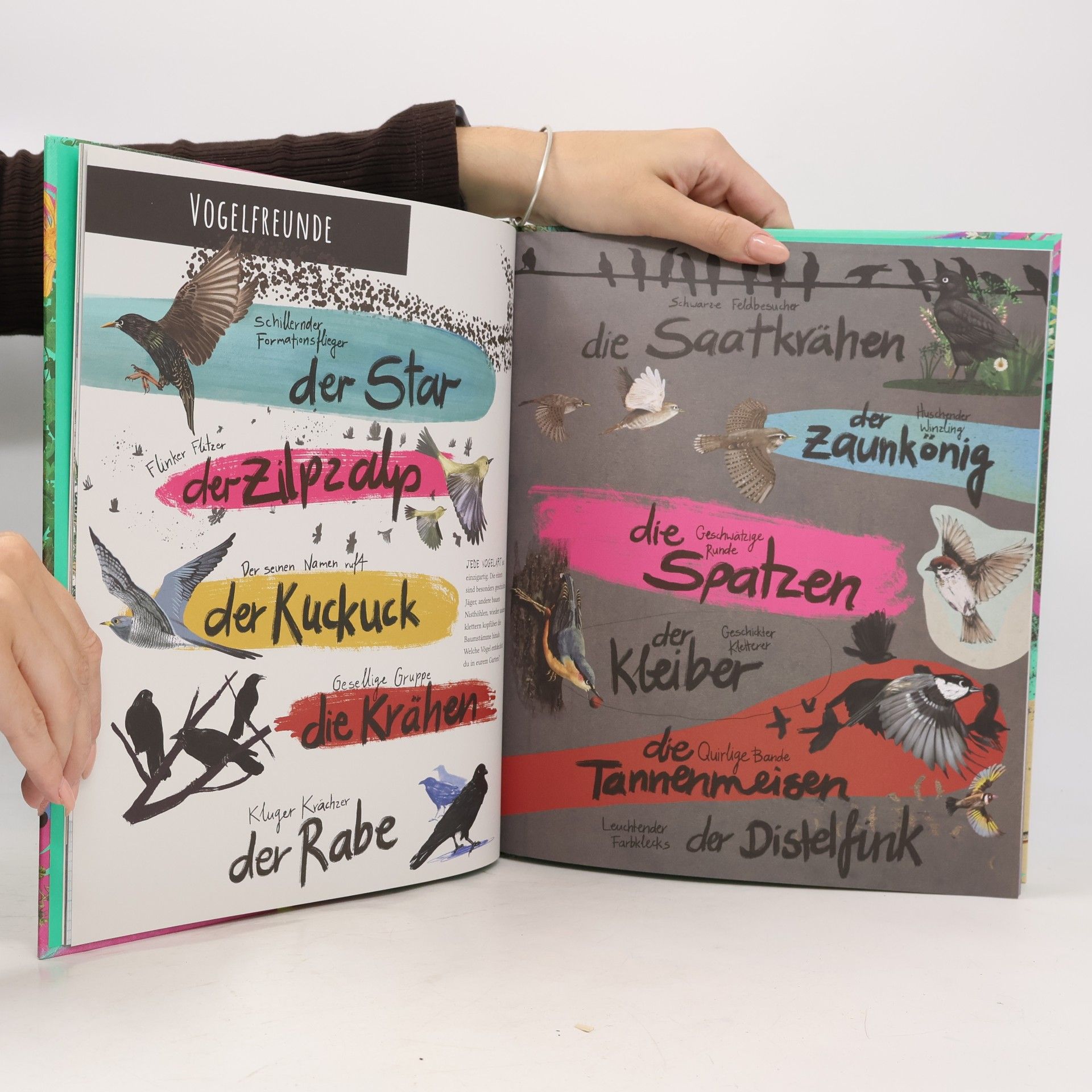 Dara McAnulty Die Natur und du. Geh hinaus auf Entdeckungsreise