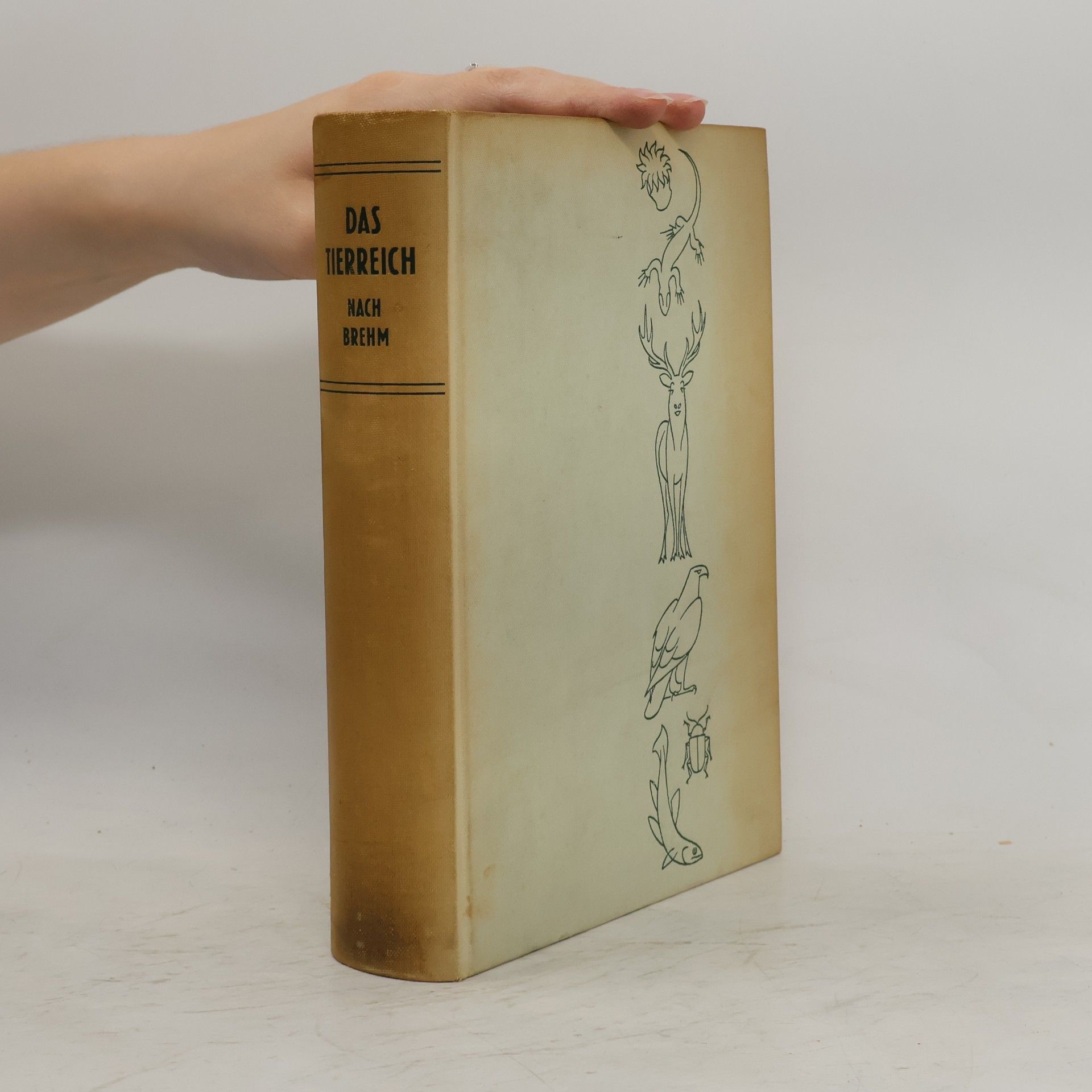 Alfred Edmund Brehm Das Tierreich nach Brehm