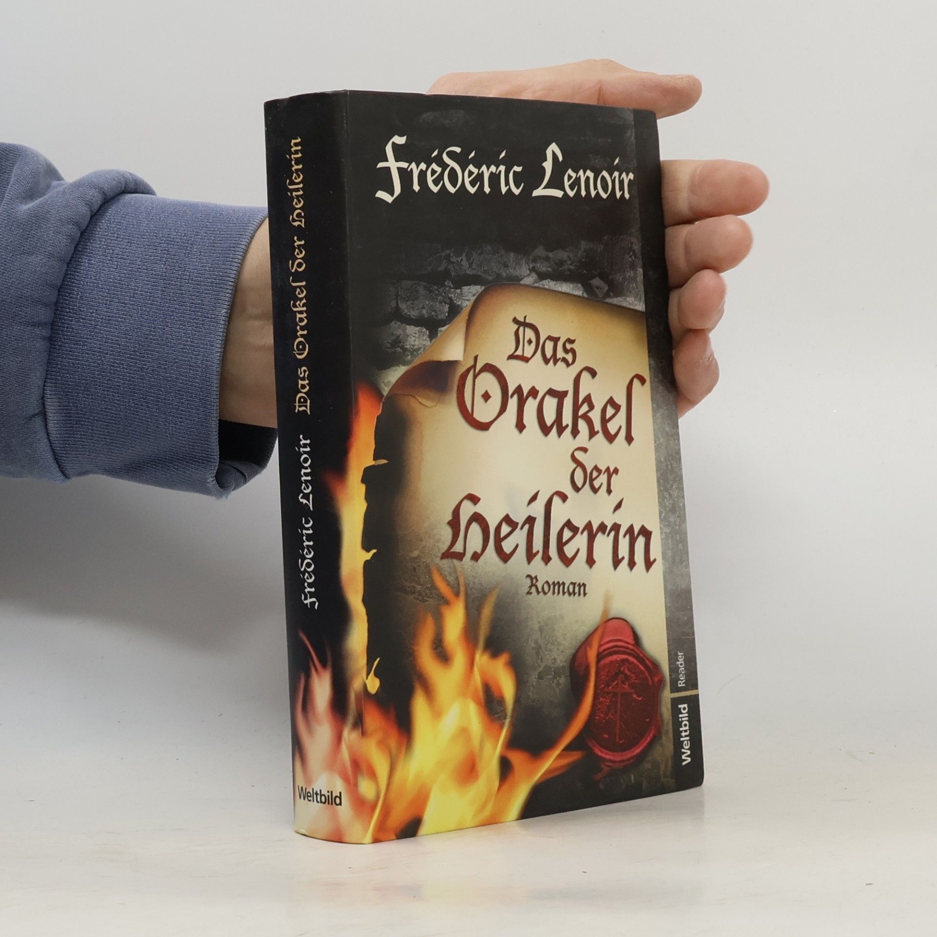 Frédéric Lenoir Das Orakel der Heilerin