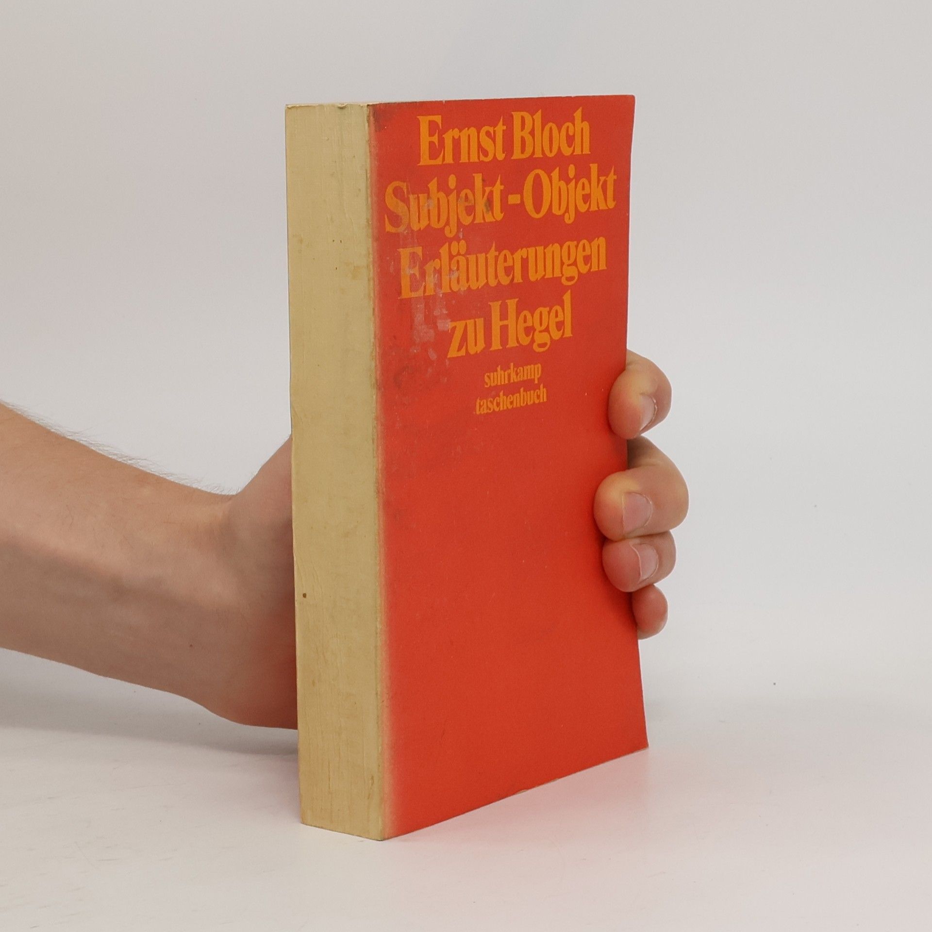 Subjekt-Objekt Erläuterungen zu Hegel