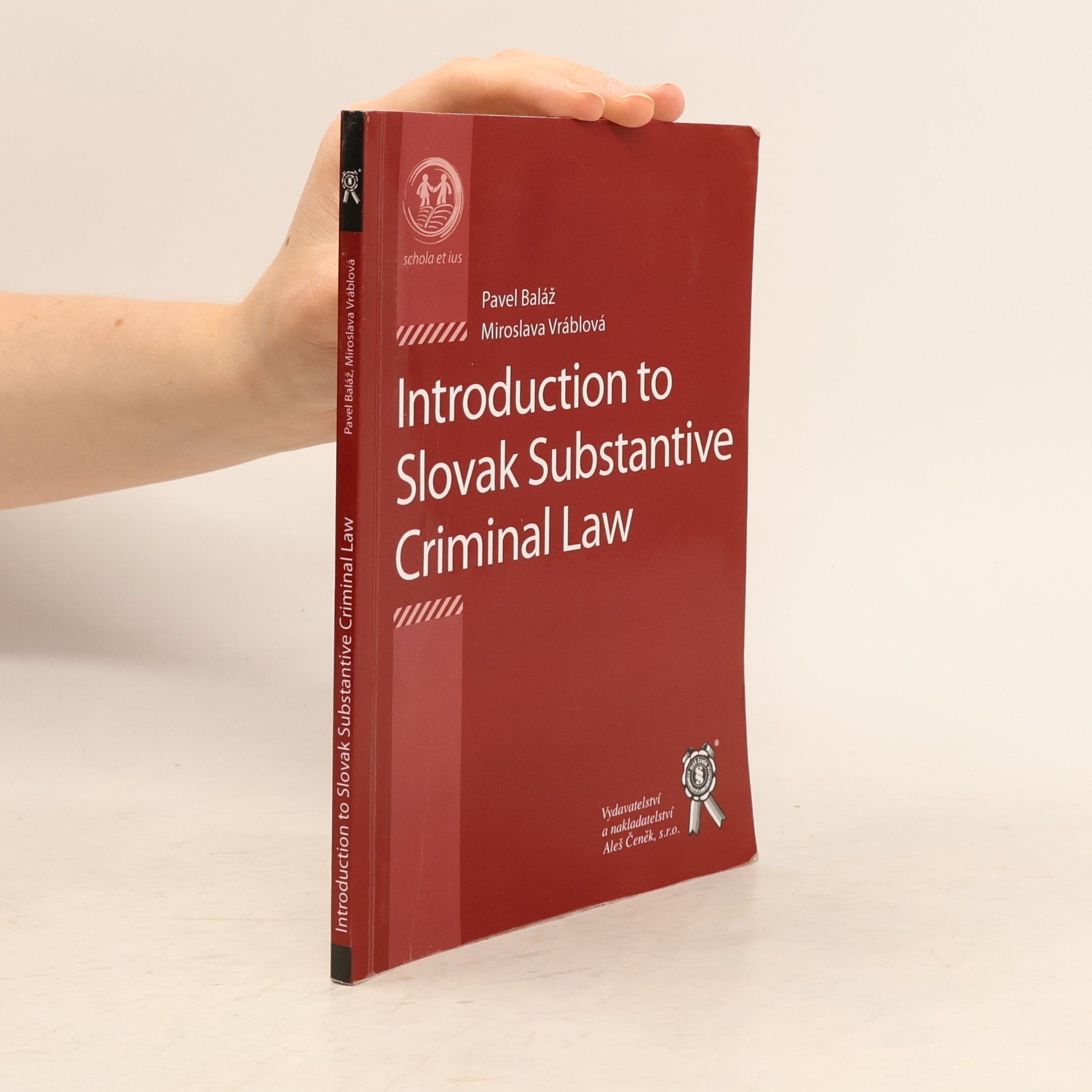 Introduction to the Substantial Criminal Law