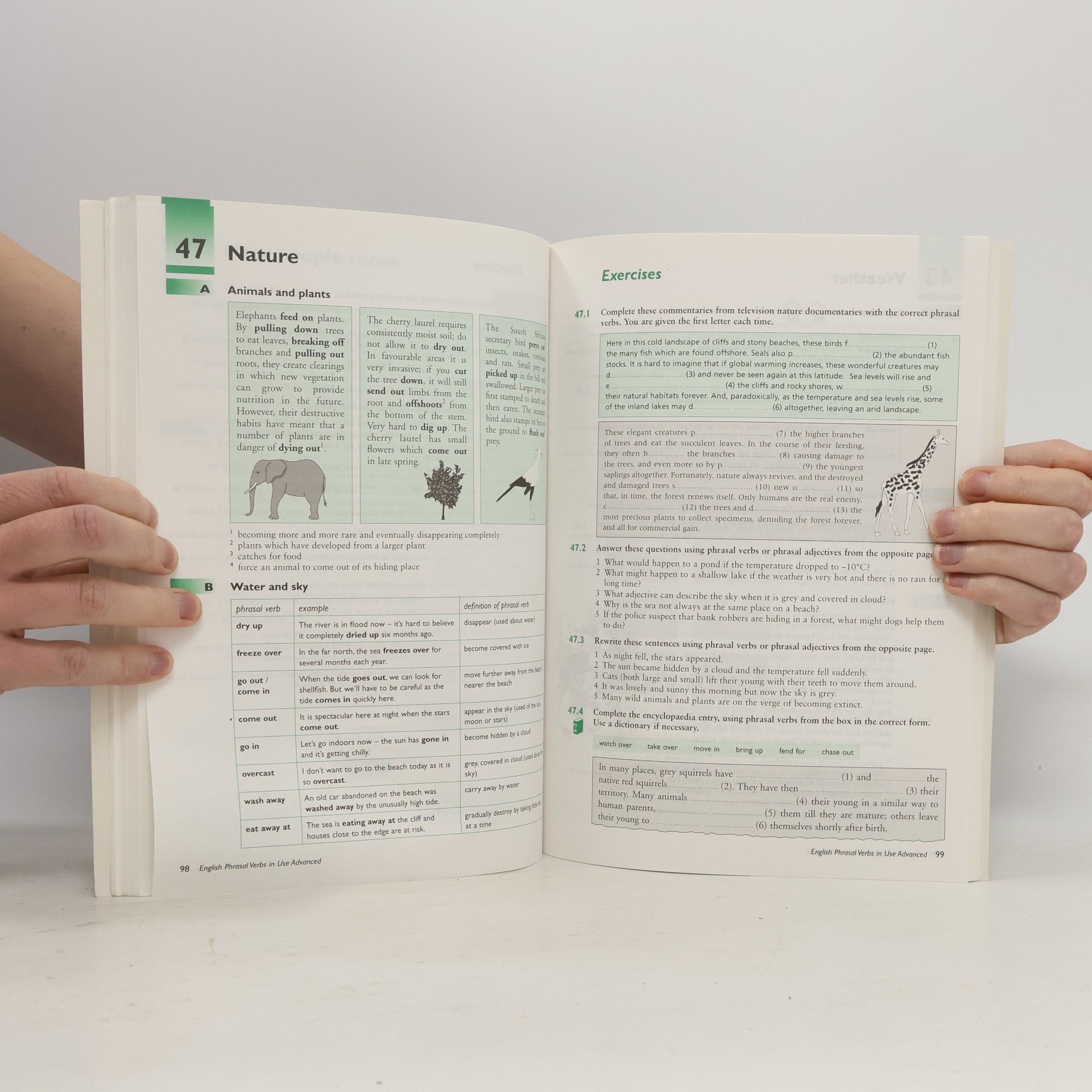 Michael Mc Carthy English phrasal verbs in use. 60 units of vocabulary reference and practice. Advanced