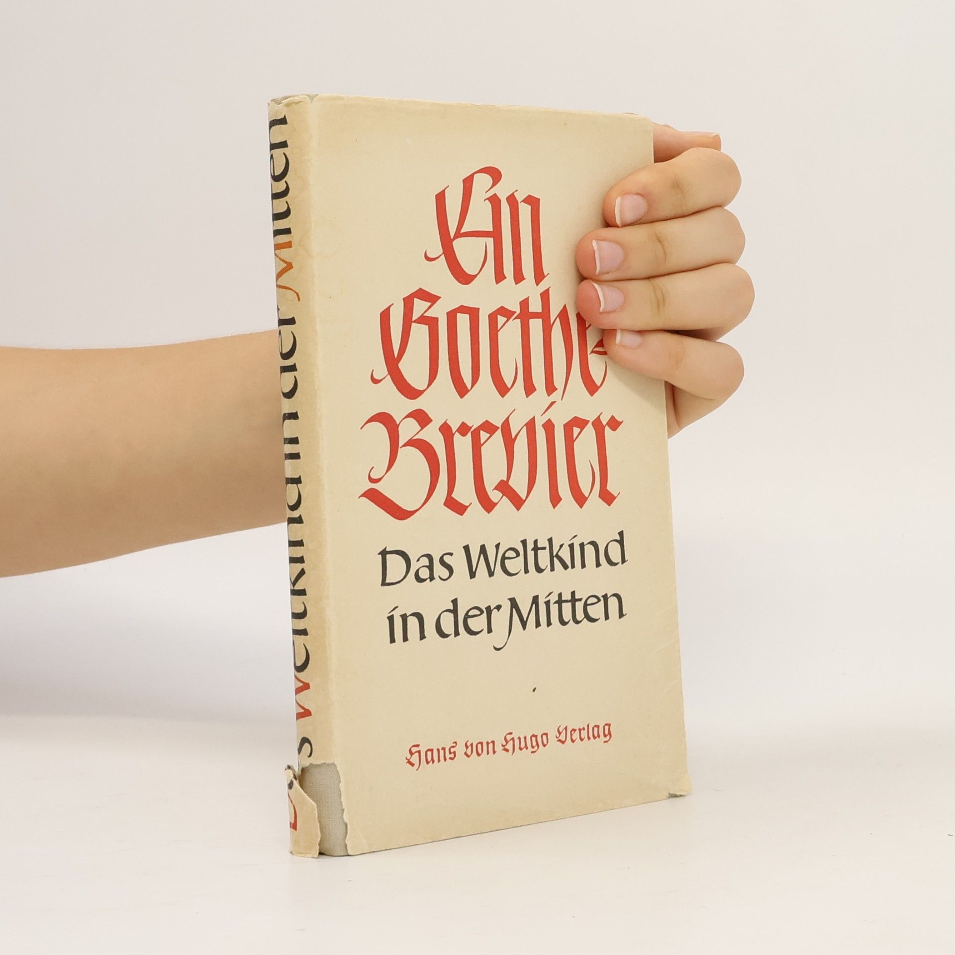 Autorenkollektiv An Goethe brevier
