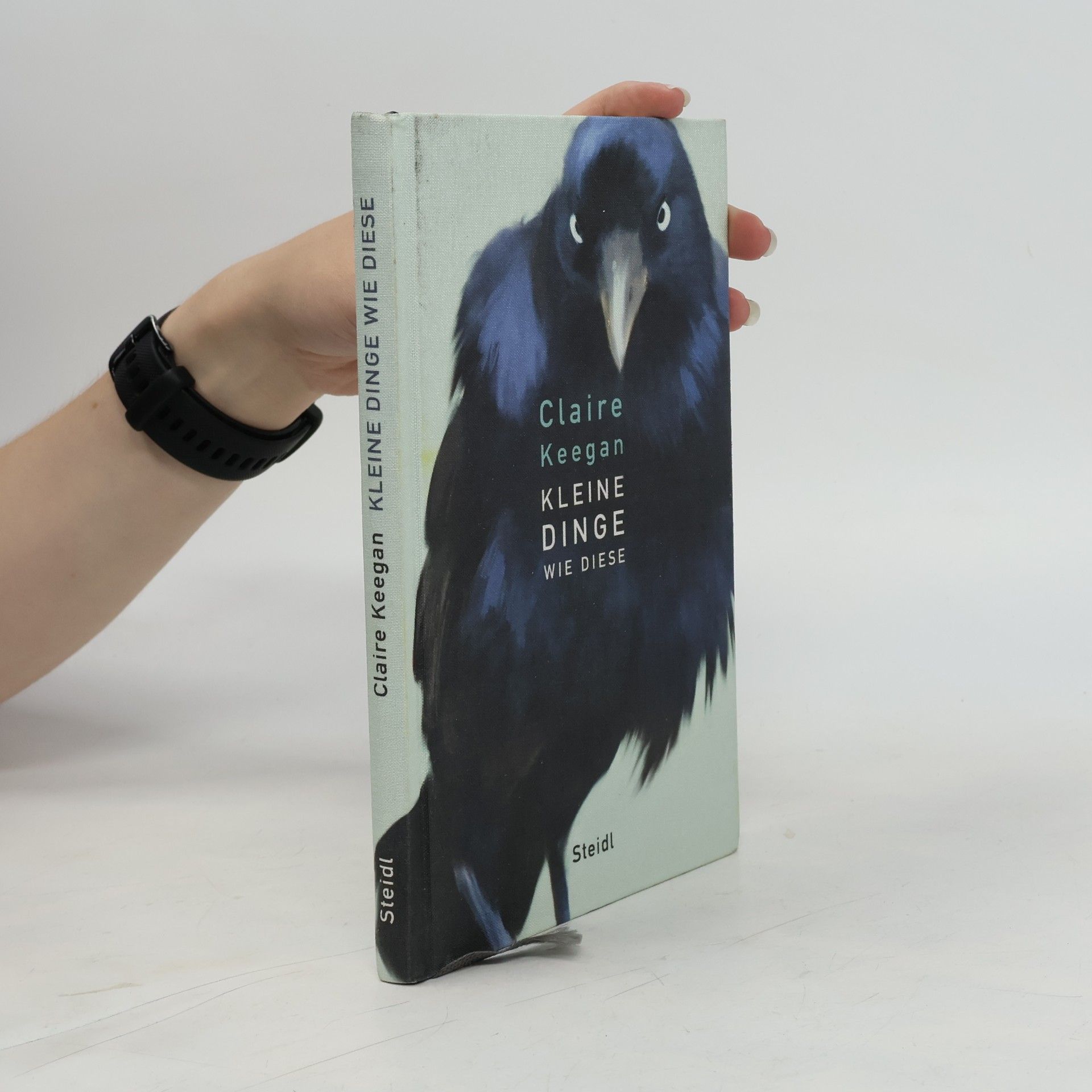 Claire Keegan Kleine Dinge wie diese