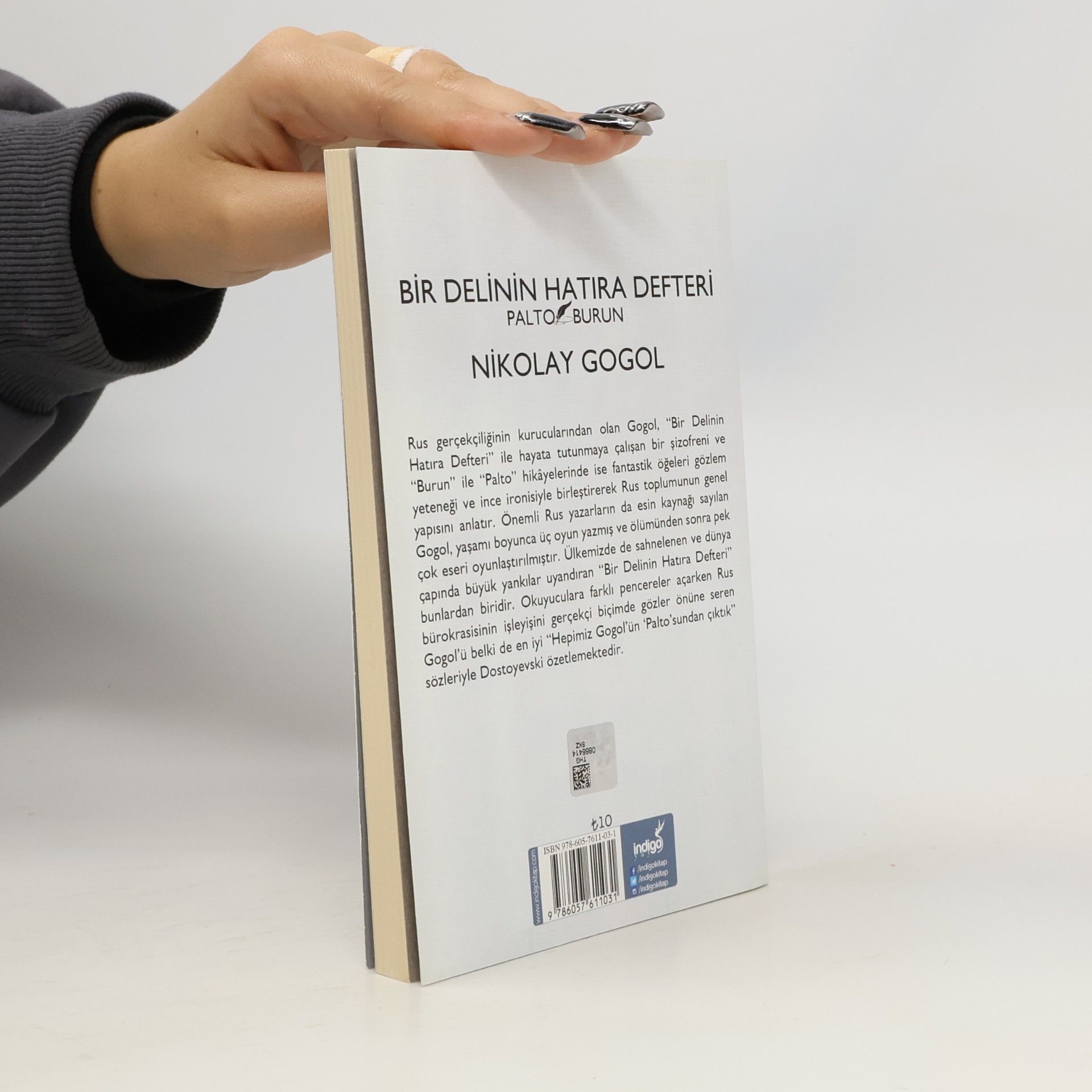 Nikolai Gogol Bir Delinin Hatıra Defteri