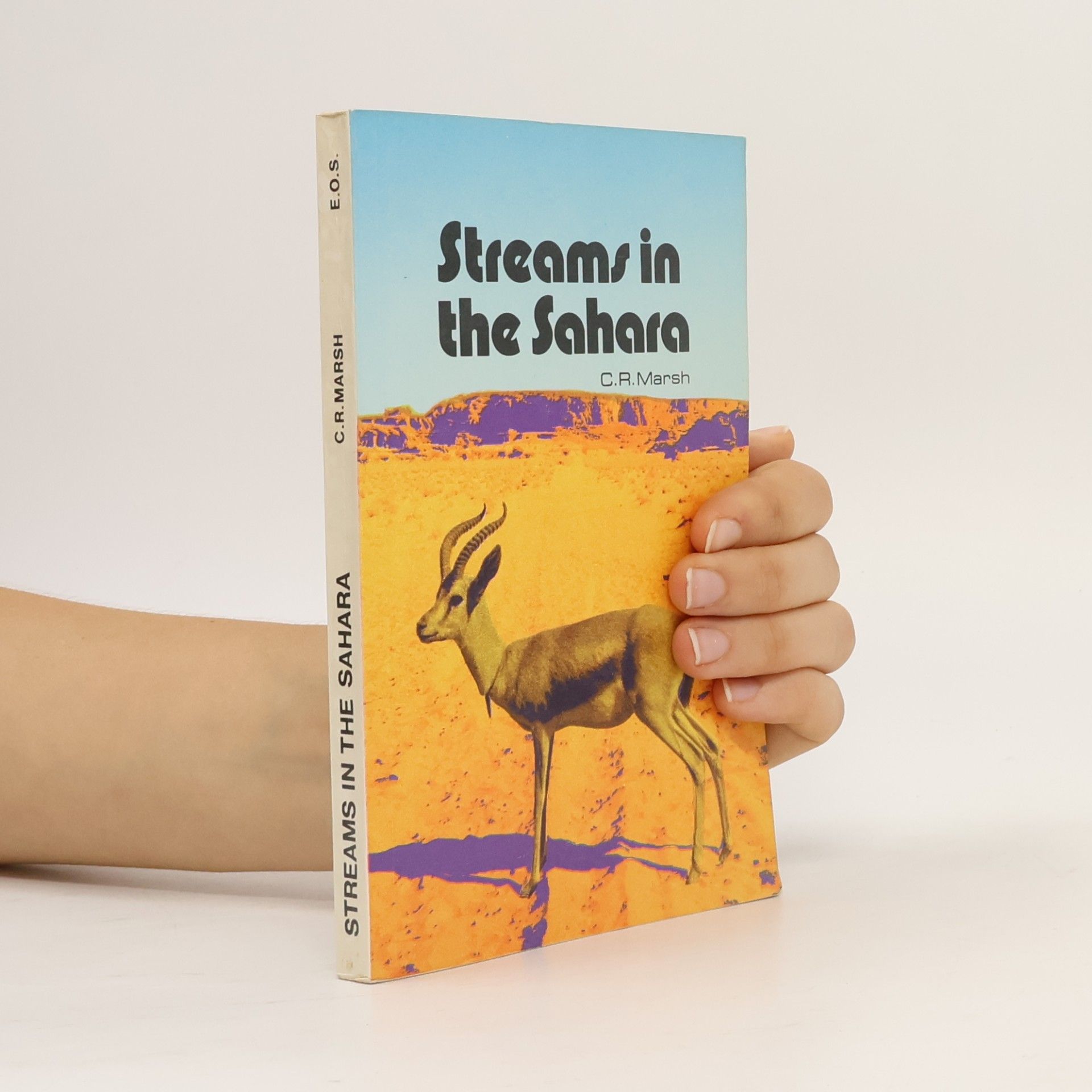C. R. Marsh Streams in the Sahara
