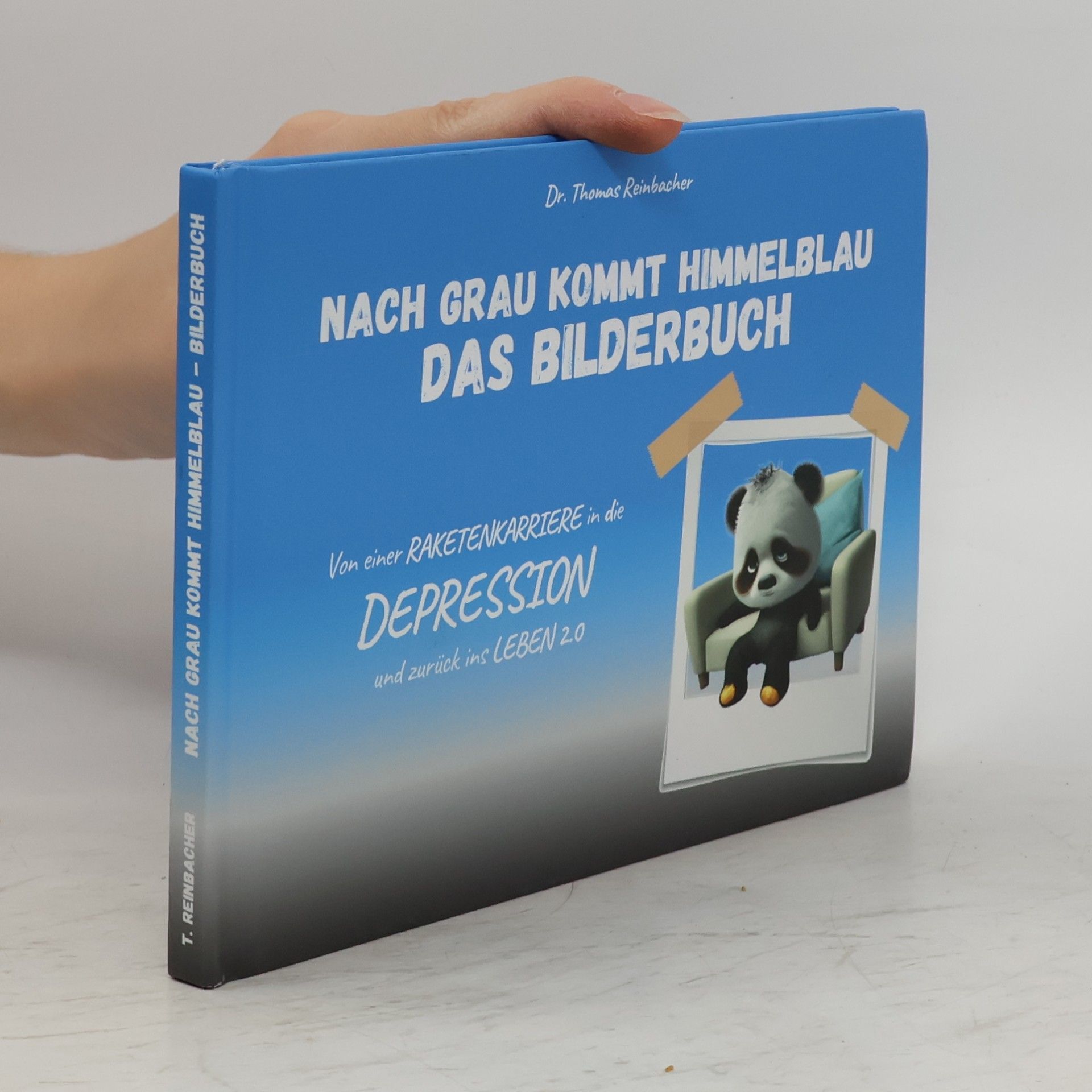 Nach Grau kommt Himmelblau das Bilderbuch