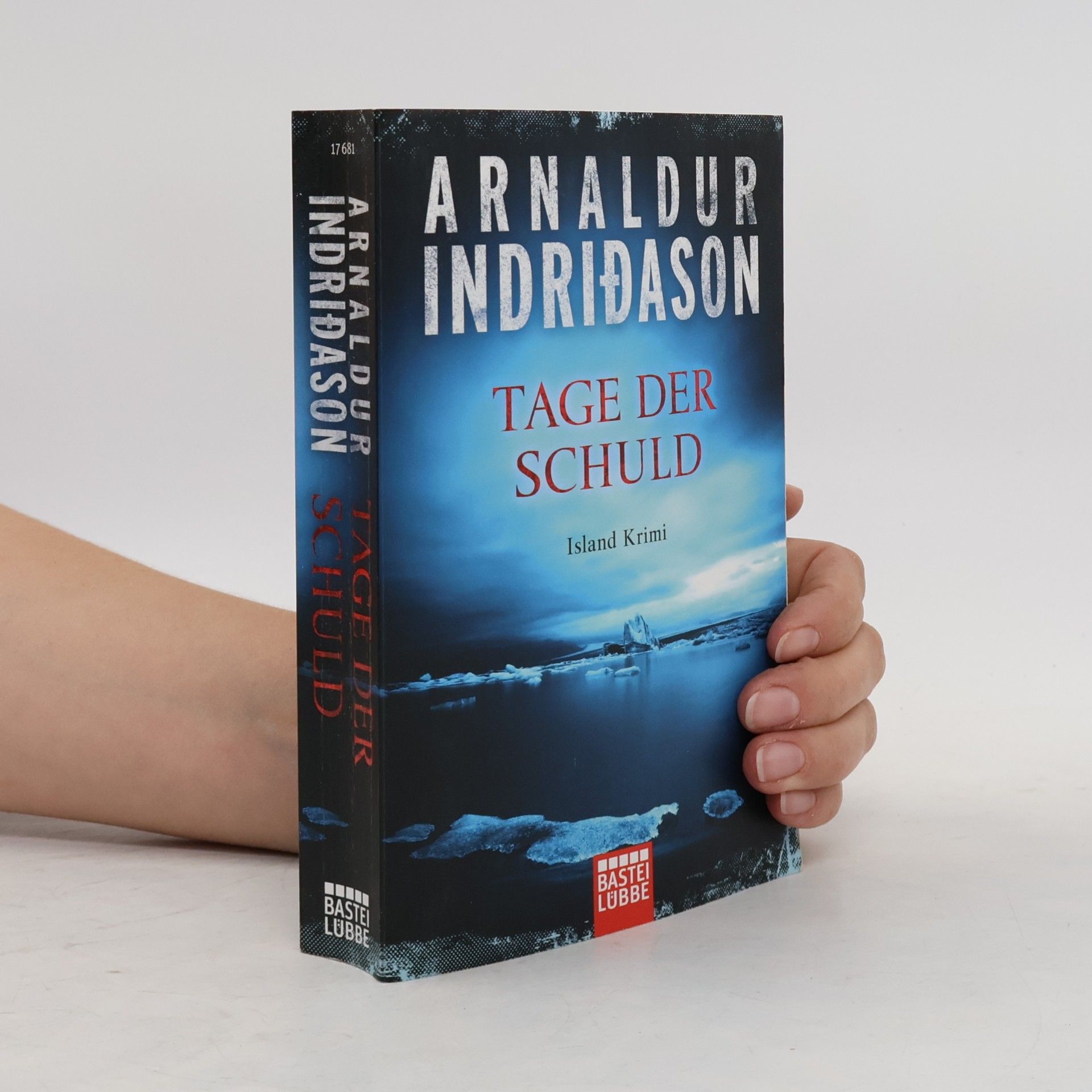 Arnaldur Indridason Tage der Schuld
