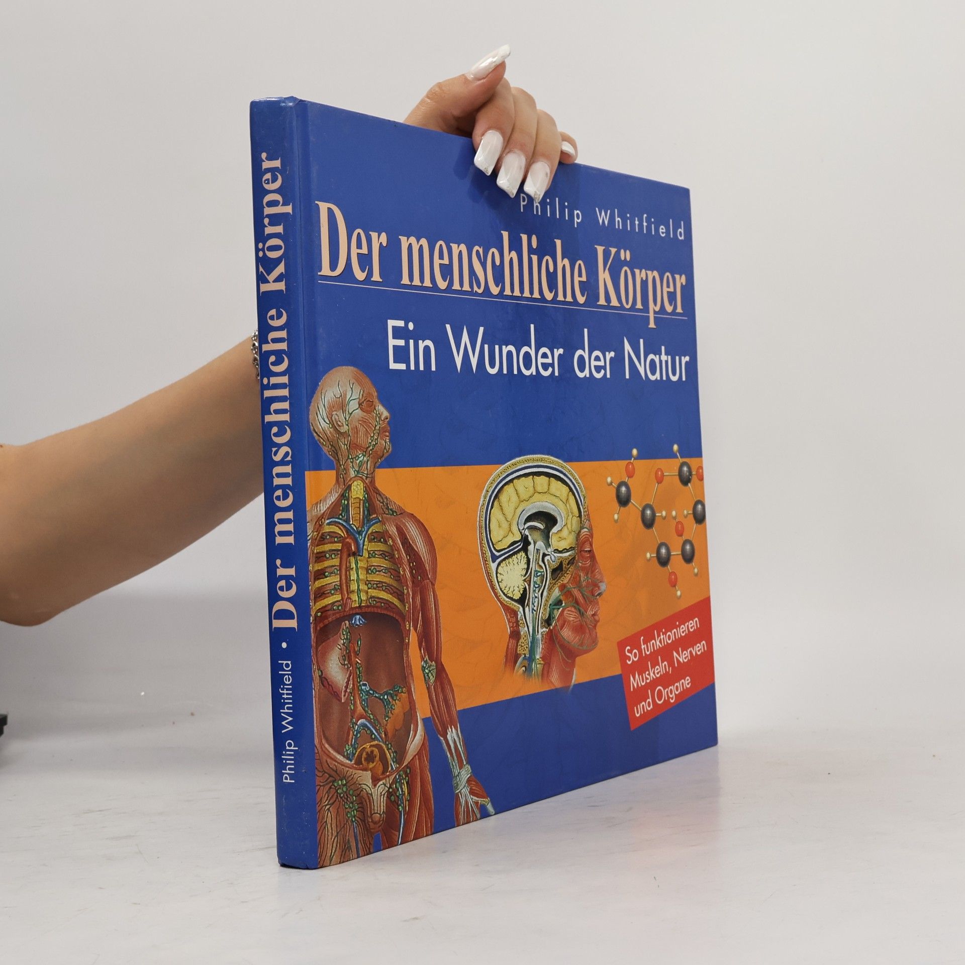 Dr Philip Whitfield Der menschliche Körper: Ein Wunder der Natur