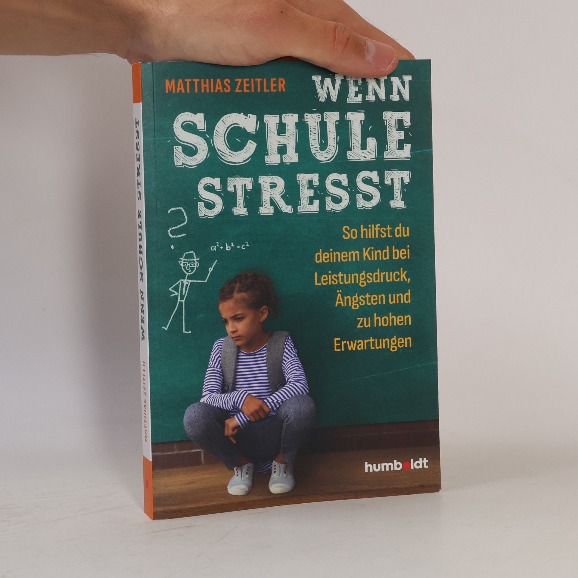 Matthias Zeitler Wenn Schule stresst