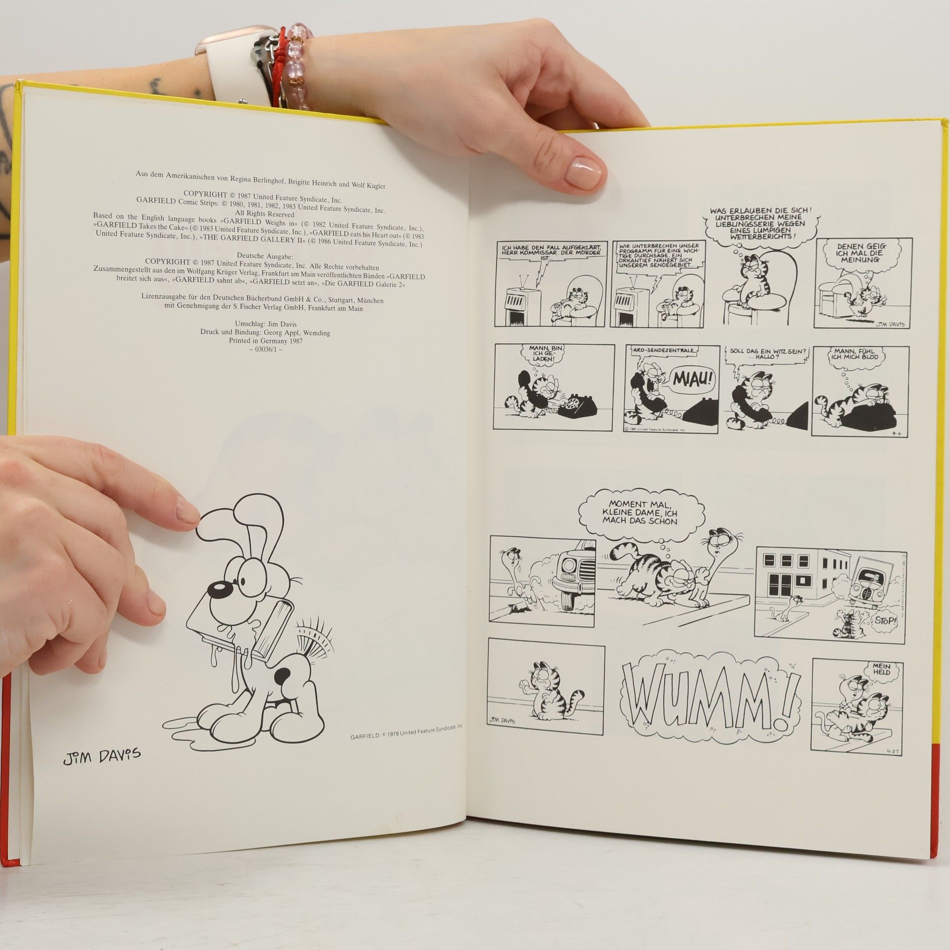 Jim Davis Die Garfield Revue 2