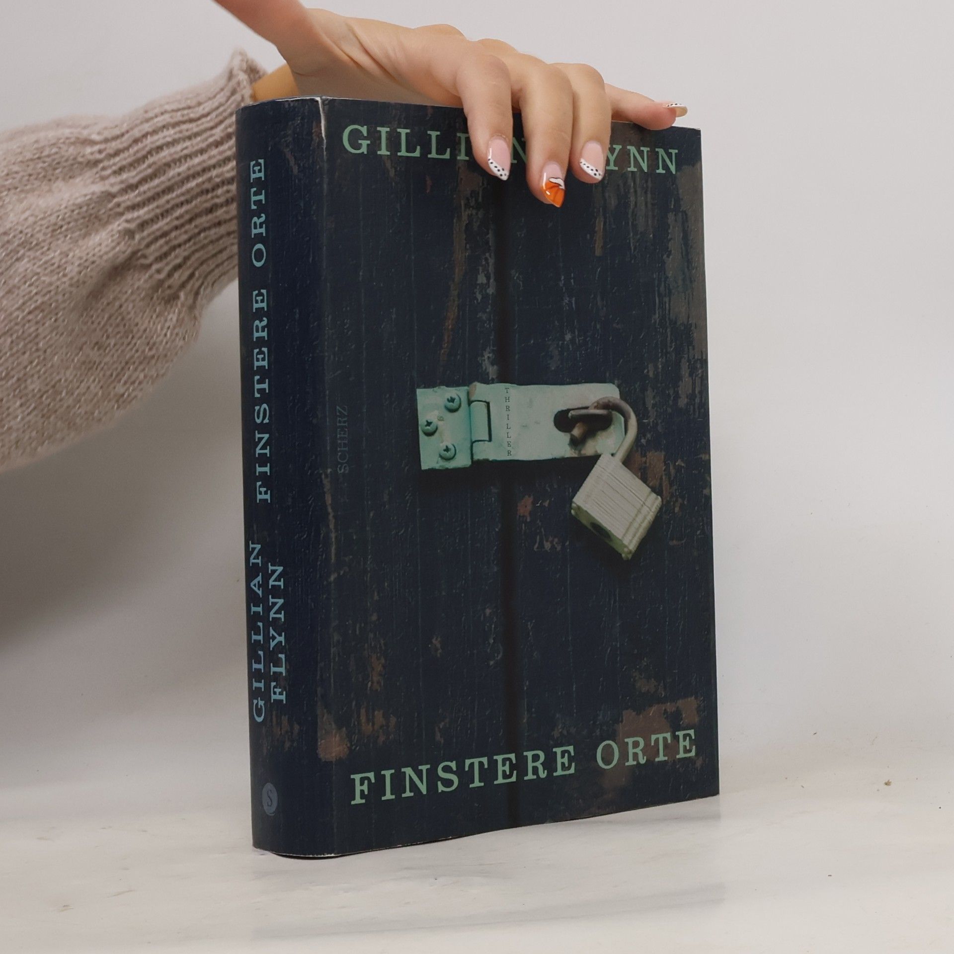 Gillian Flynn Finstere Orte