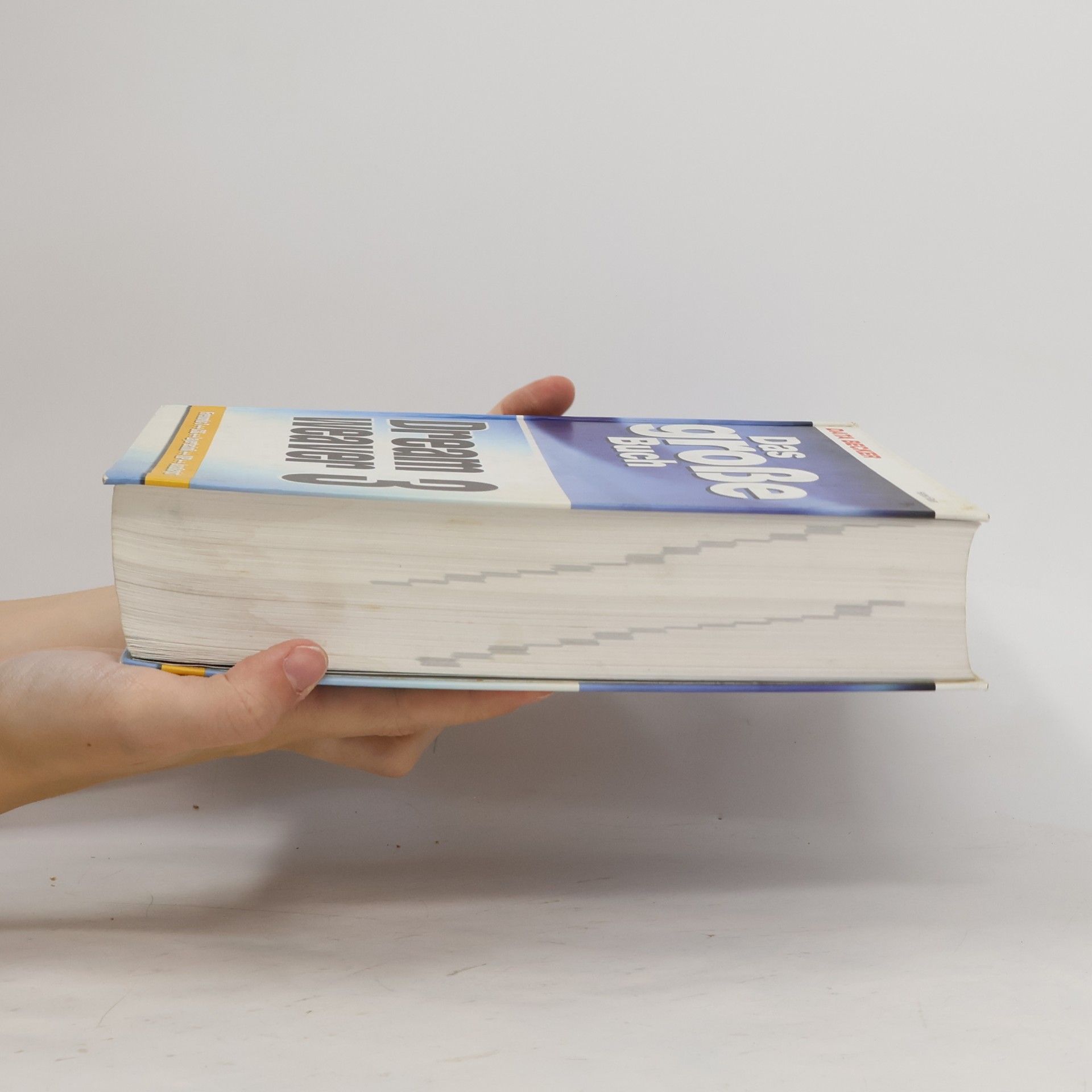Herbert Bauer Das große Buch Dreamweaver 3