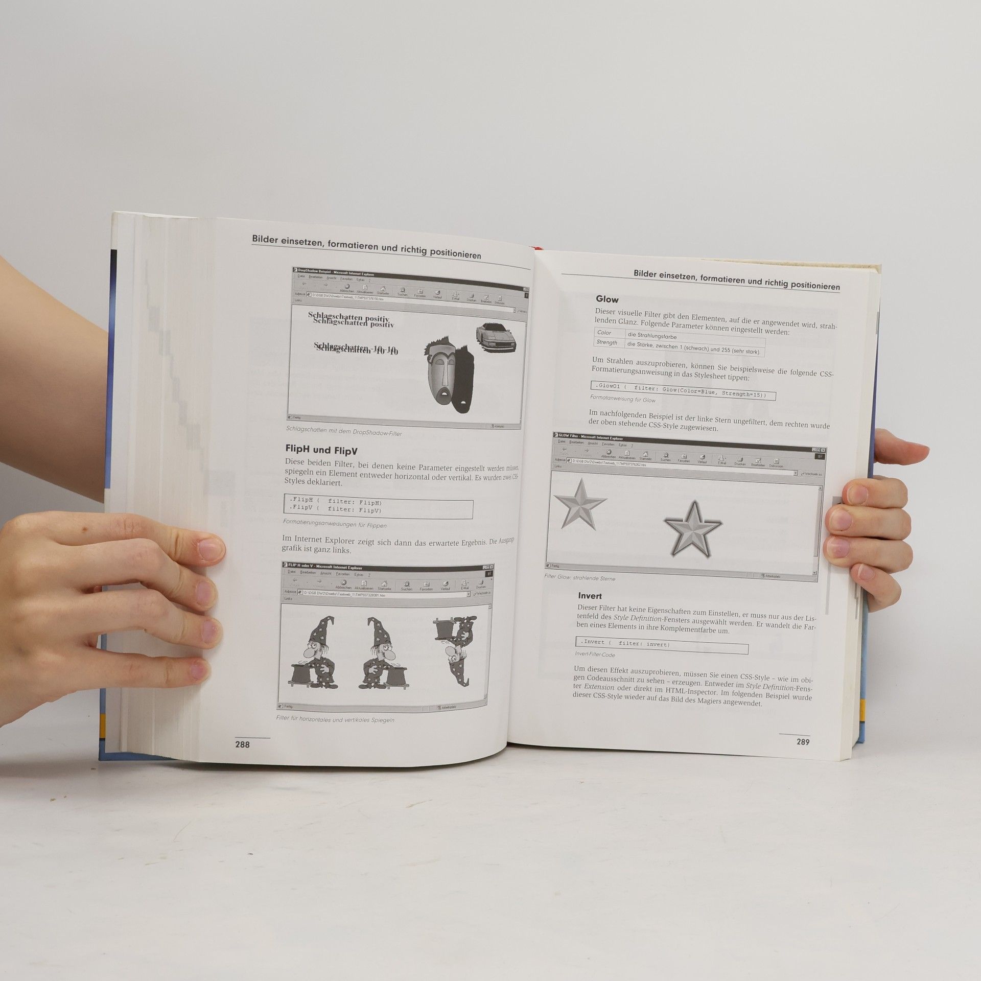Herbert Bauer Das große Buch Dreamweaver 3
