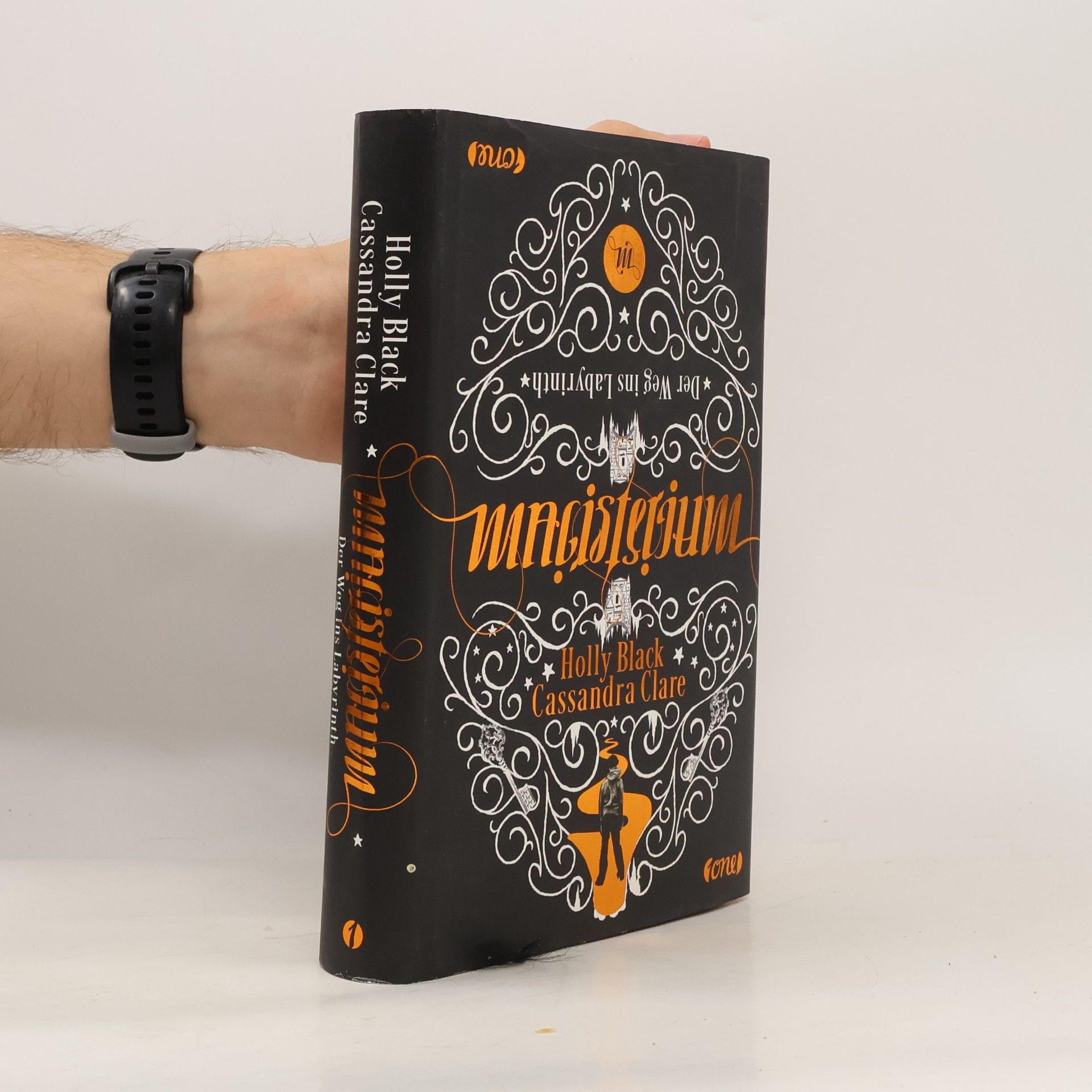 Holly Black Magisterium. Der Weg ins Labyrinth