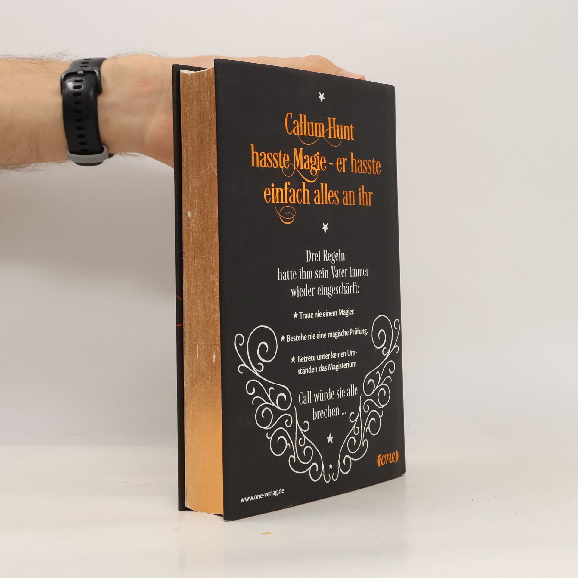Holly Black Magisterium. Der Weg ins Labyrinth
