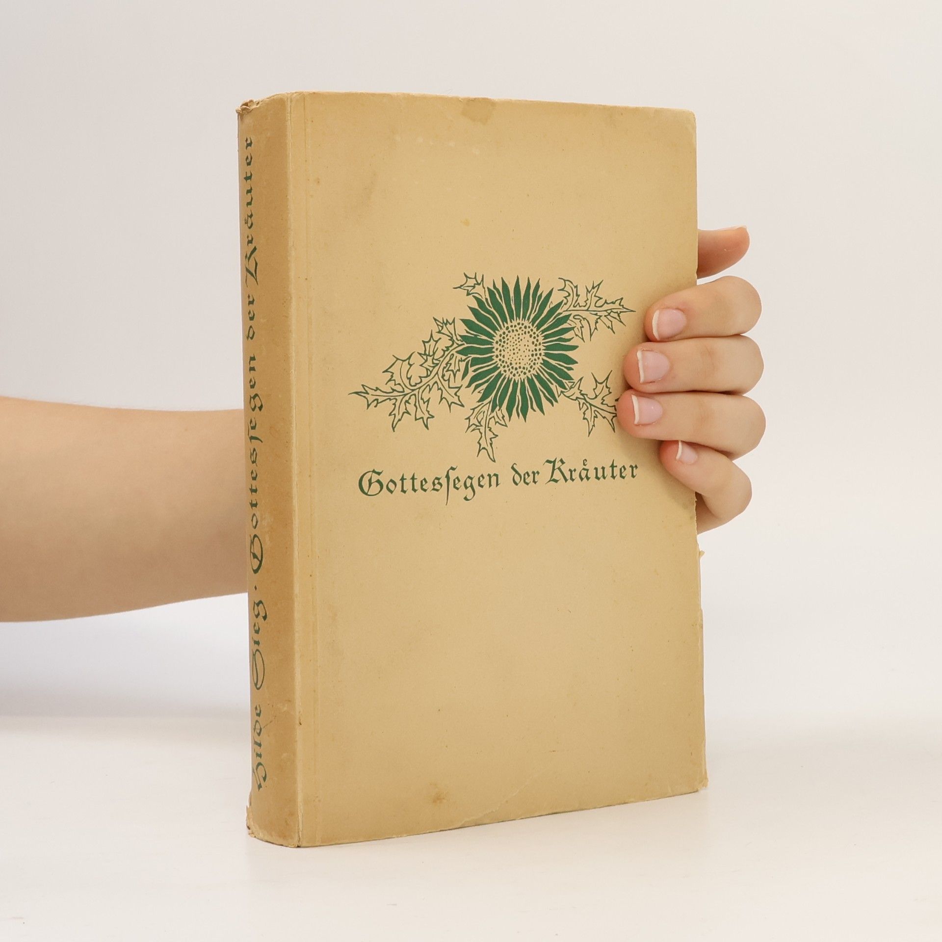 Gottessegen der Kräuter einst und immerdar