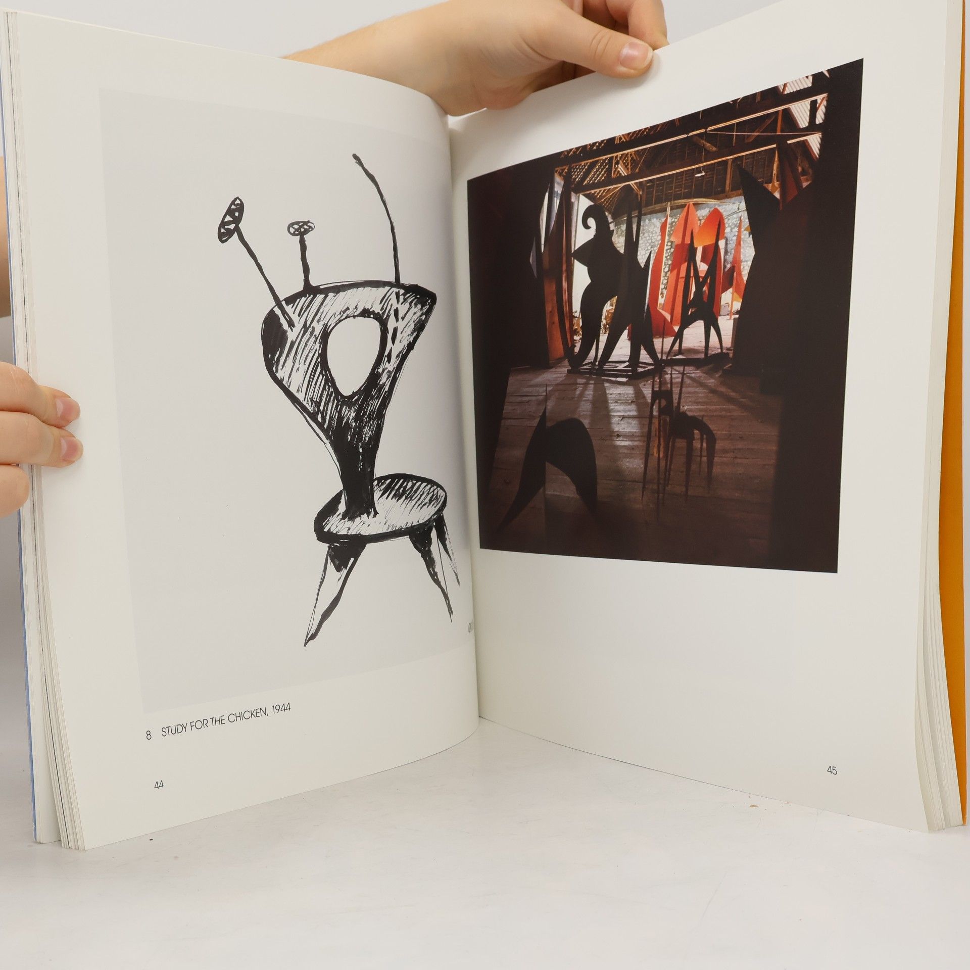 Alexander Calder Calder