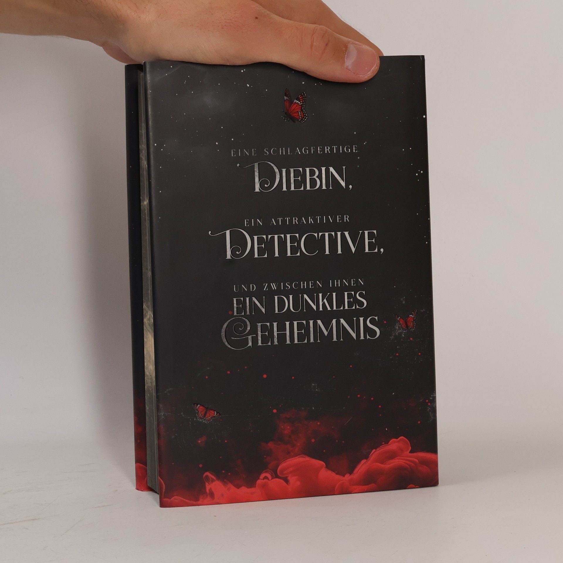 Caroline Brinkmann Red Umbrella Society. Der Kuss des Schmetterlings