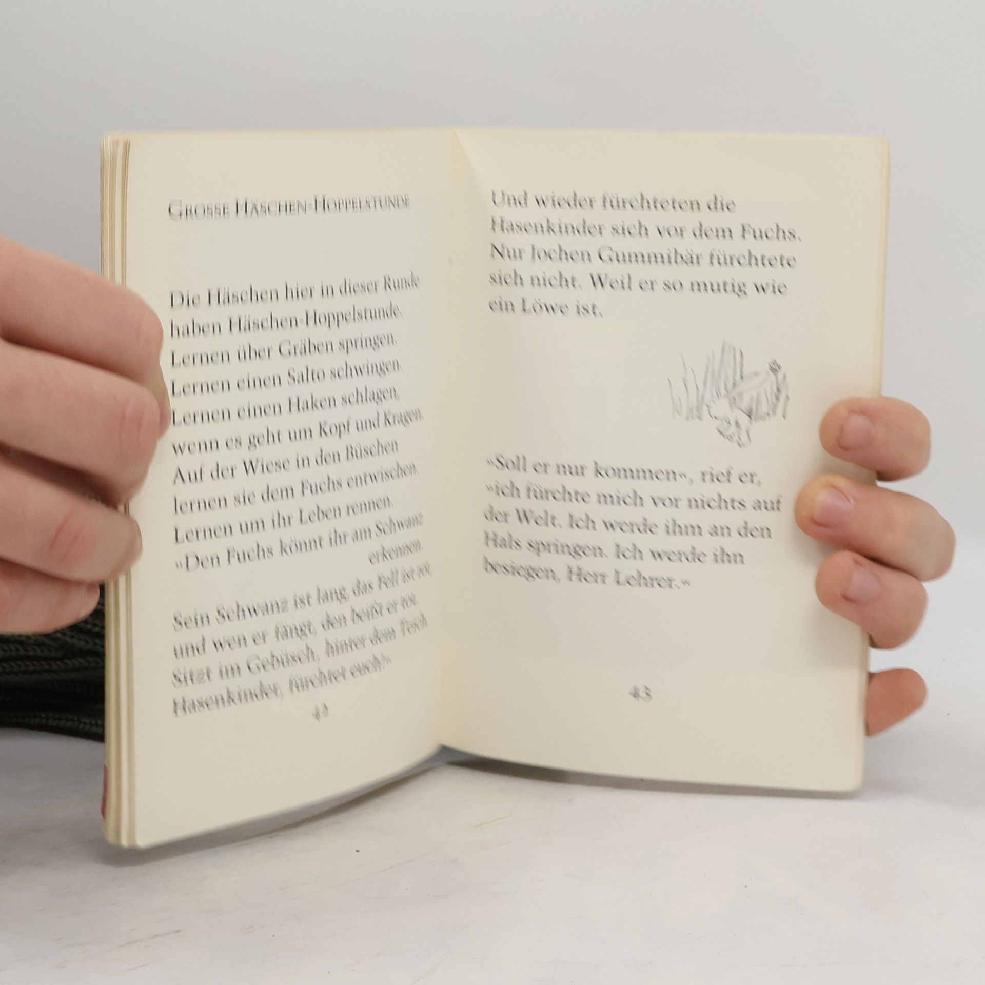 Janosch Janosch's kleines Hasenbuch