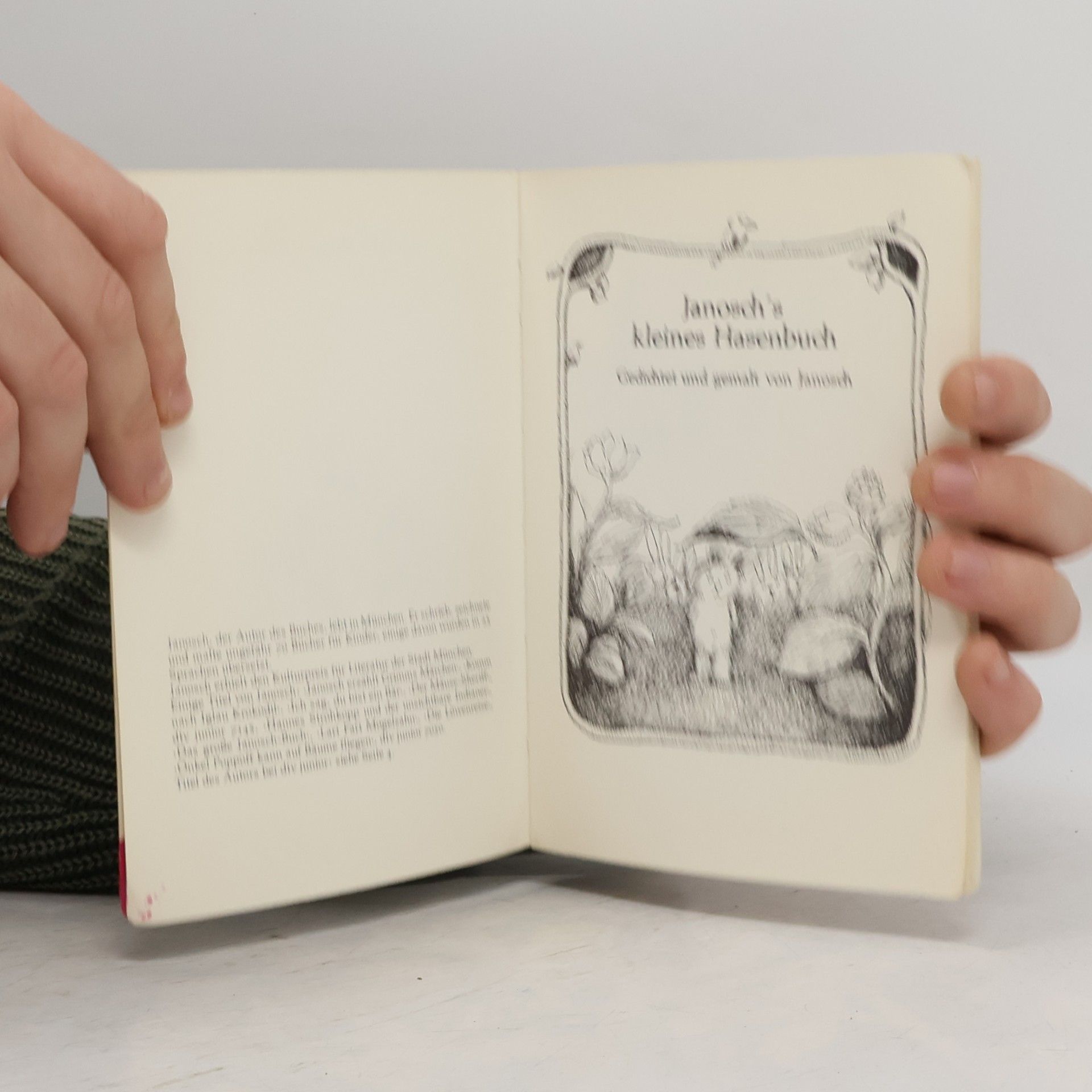 Janosch Janosch's kleines Hasenbuch