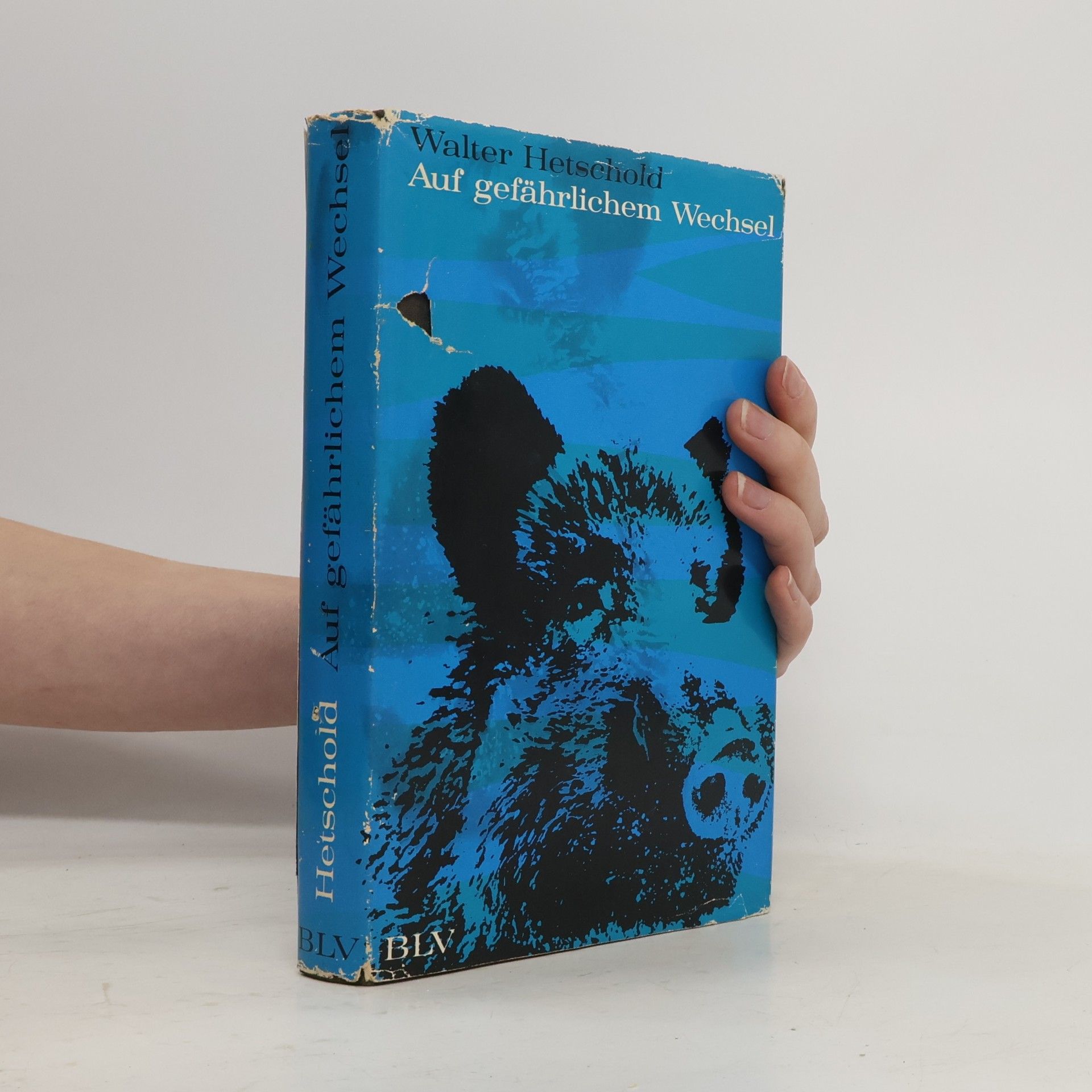 Walter Hetschold Auf gefährlichem Wechsel