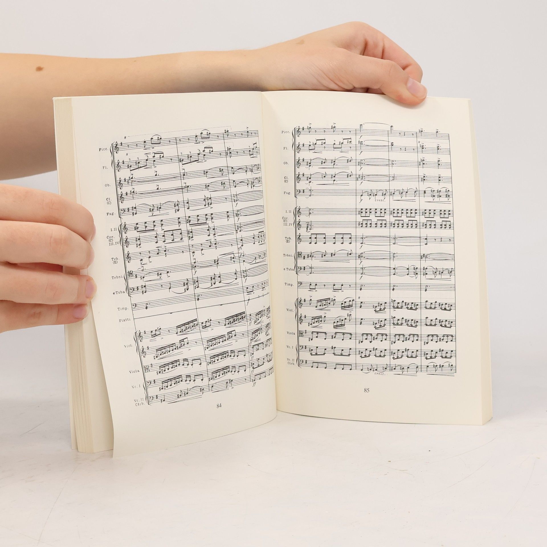 Bedřich Smetana Die Moldau. Taschenpartitur.