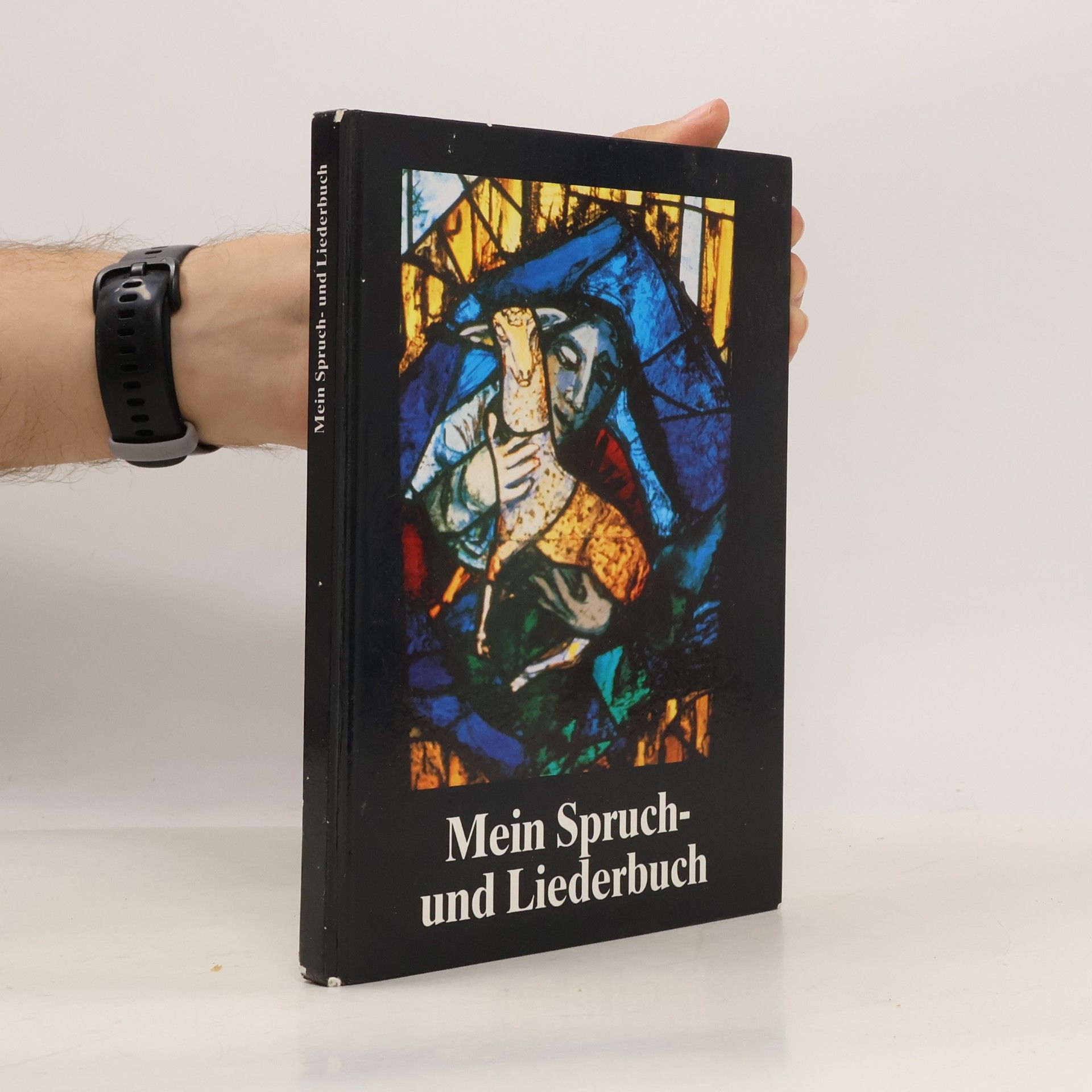Autorenkollektiv Mein Spruch- und Liederbuch