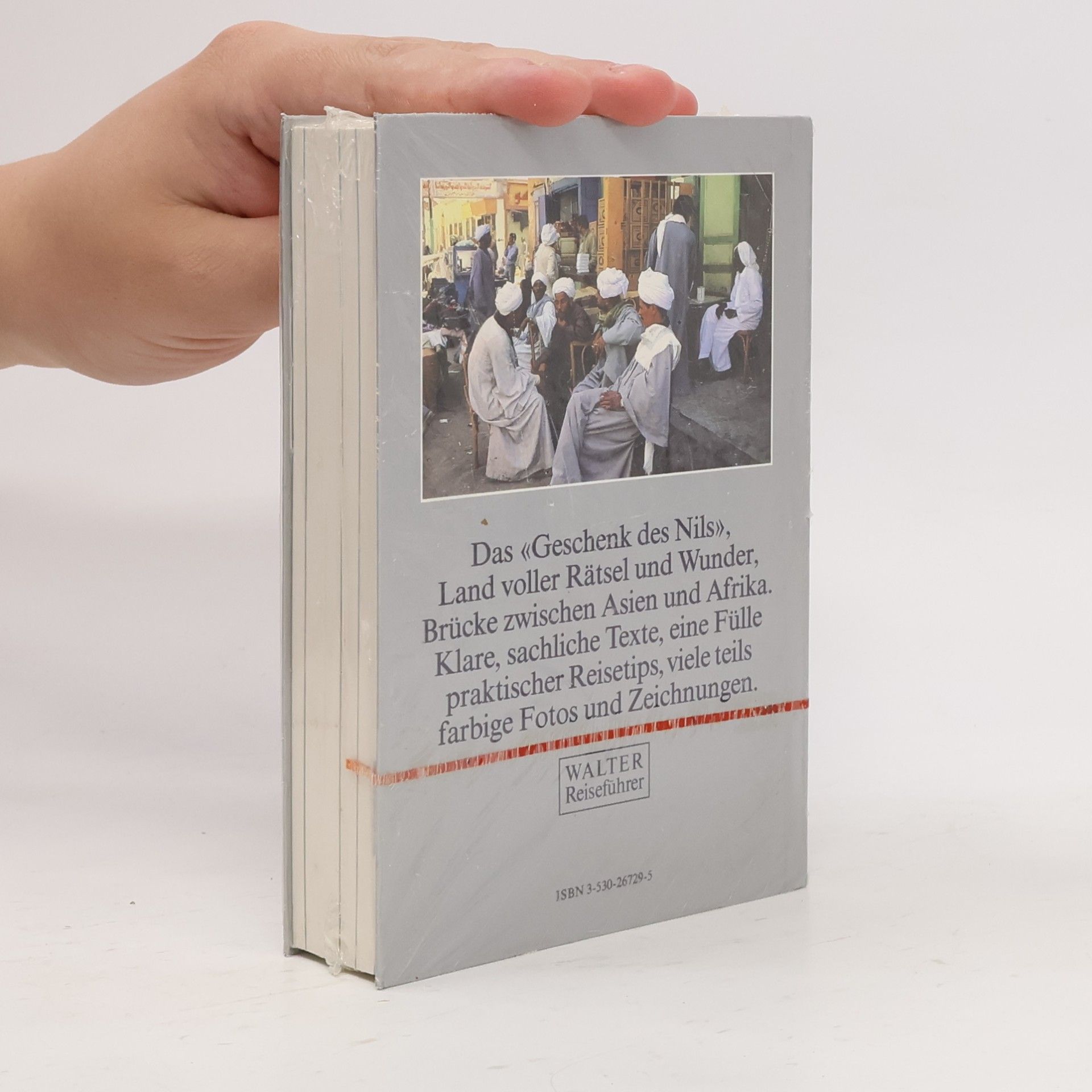 Samir F. Girgis Ägypten