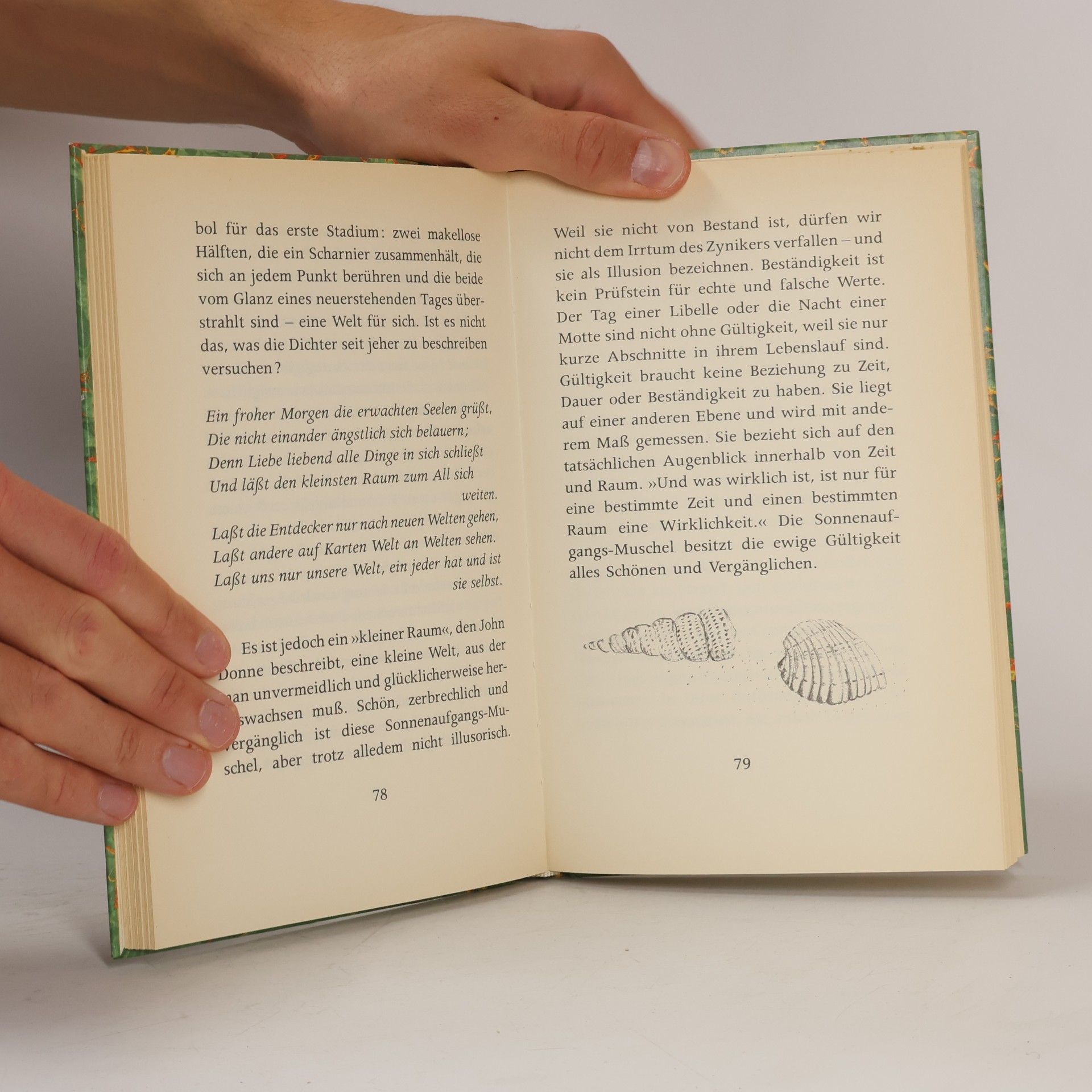 Anne Morrow Lindbergh Muscheln in meiner Hand