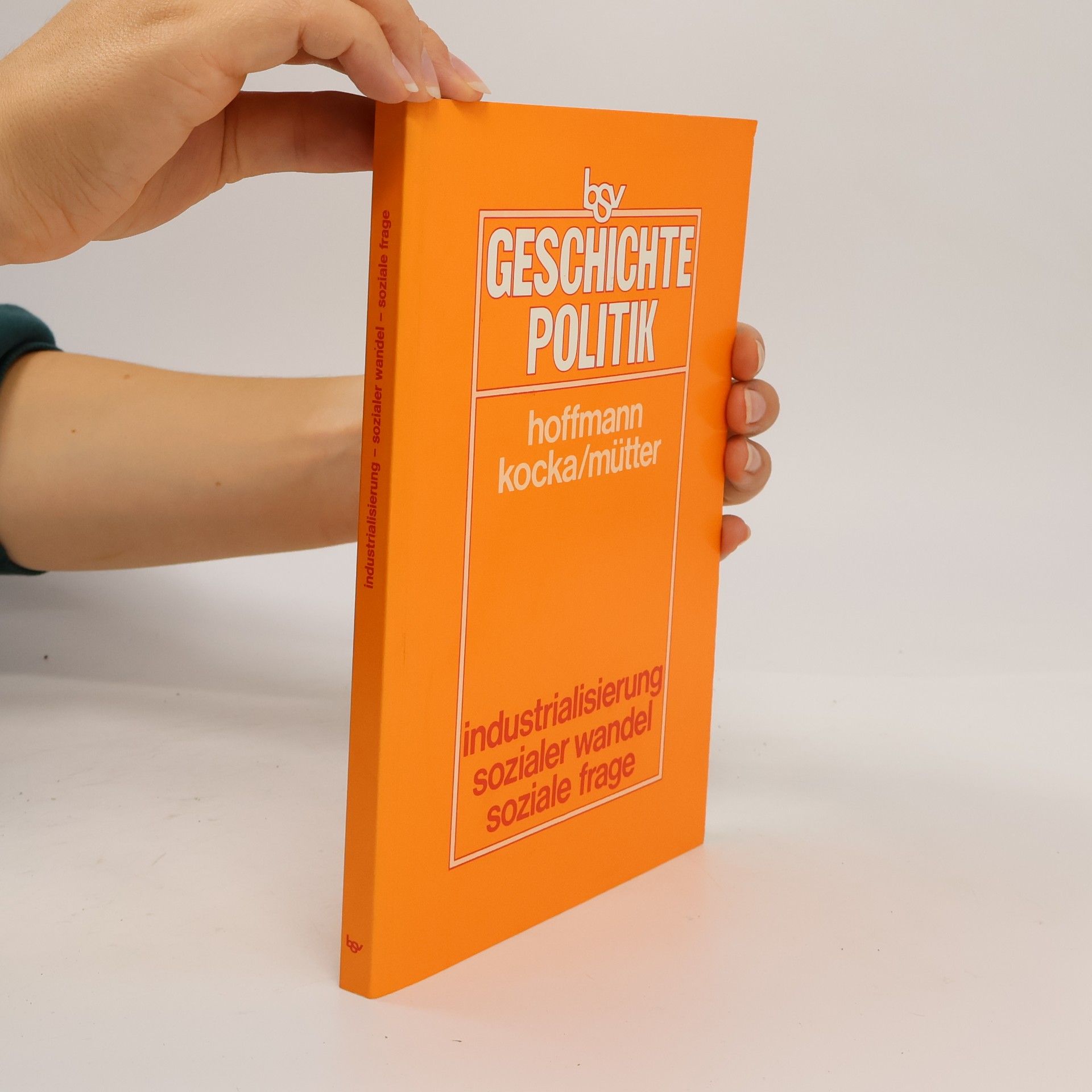 Various authors Industrialisierung, sozialer Wandel, soziale Frage