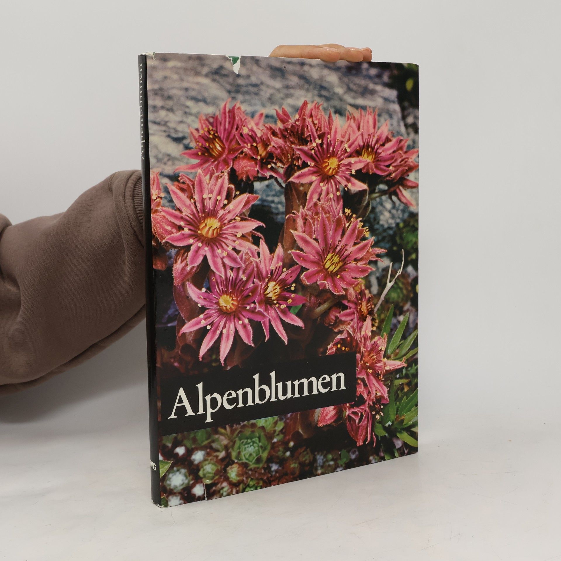 Edeltraud Danesch Alpenblumen