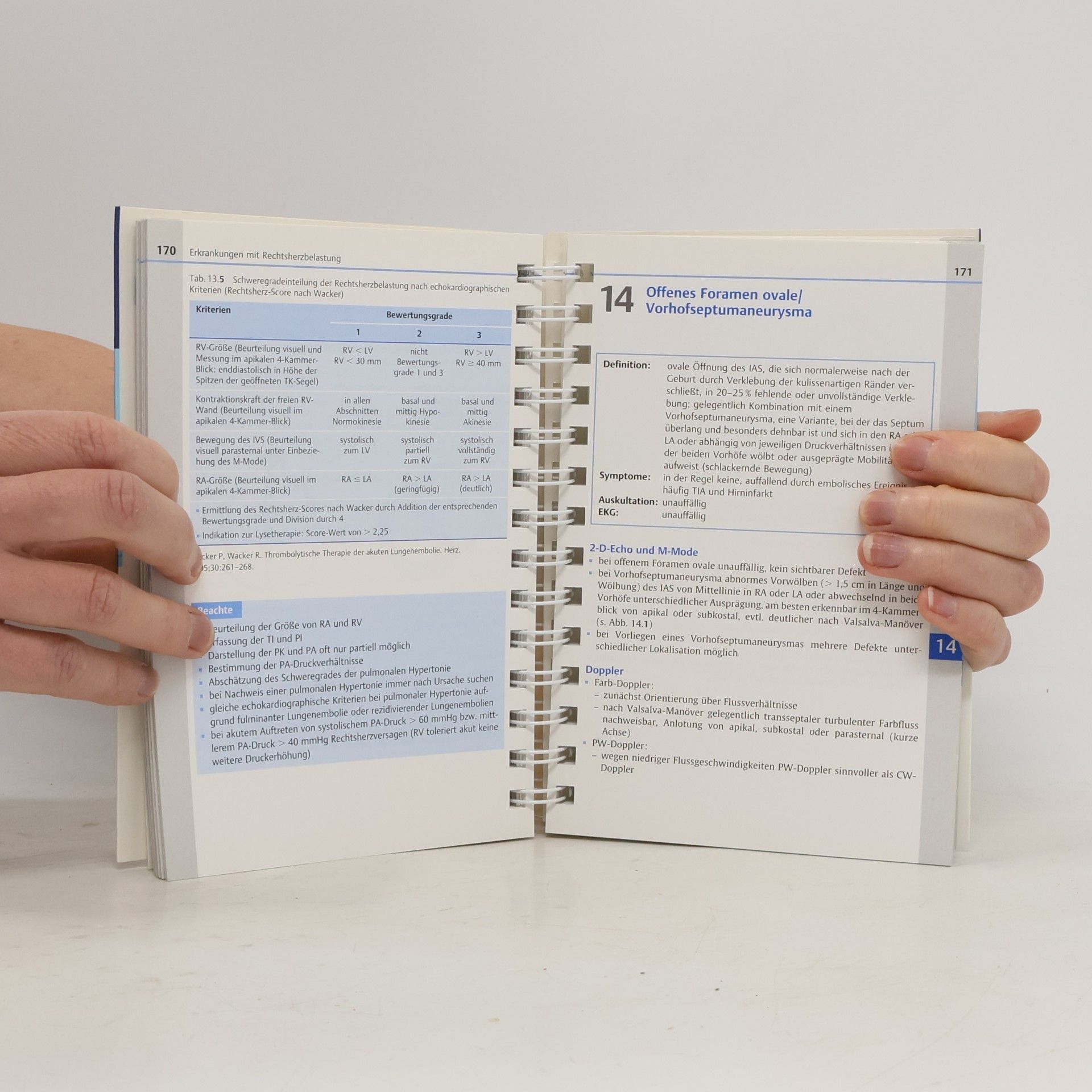 Ursula Wilkenshoff Handbuch der Echokardiographie: Vollständig überarbeitete und erweiterte Auflage