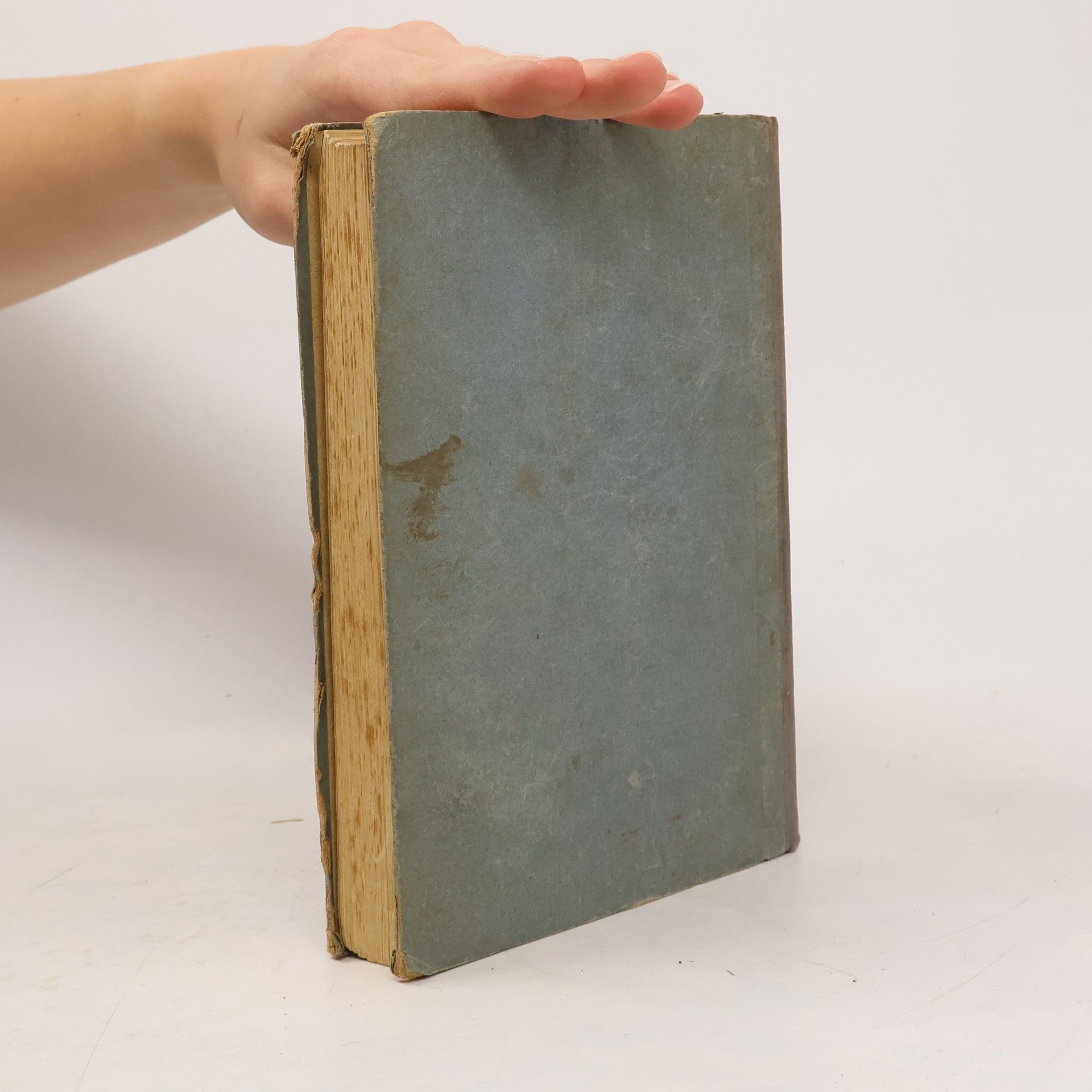 Paul Schubring Hilfsbuch zur Kunstgeschichte