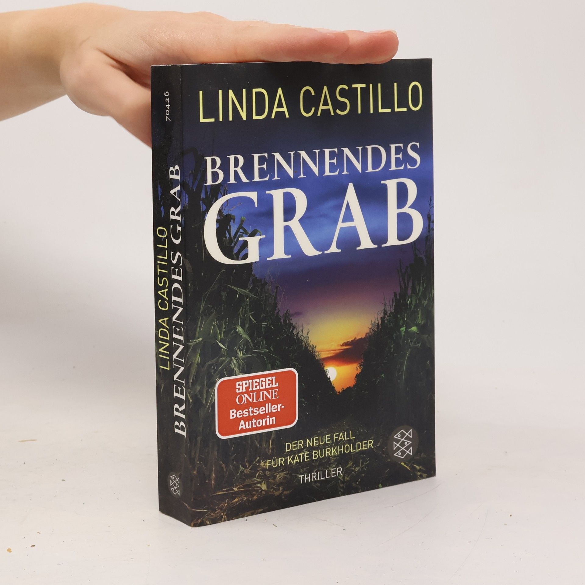 Linda Castillo Brennendes Grab