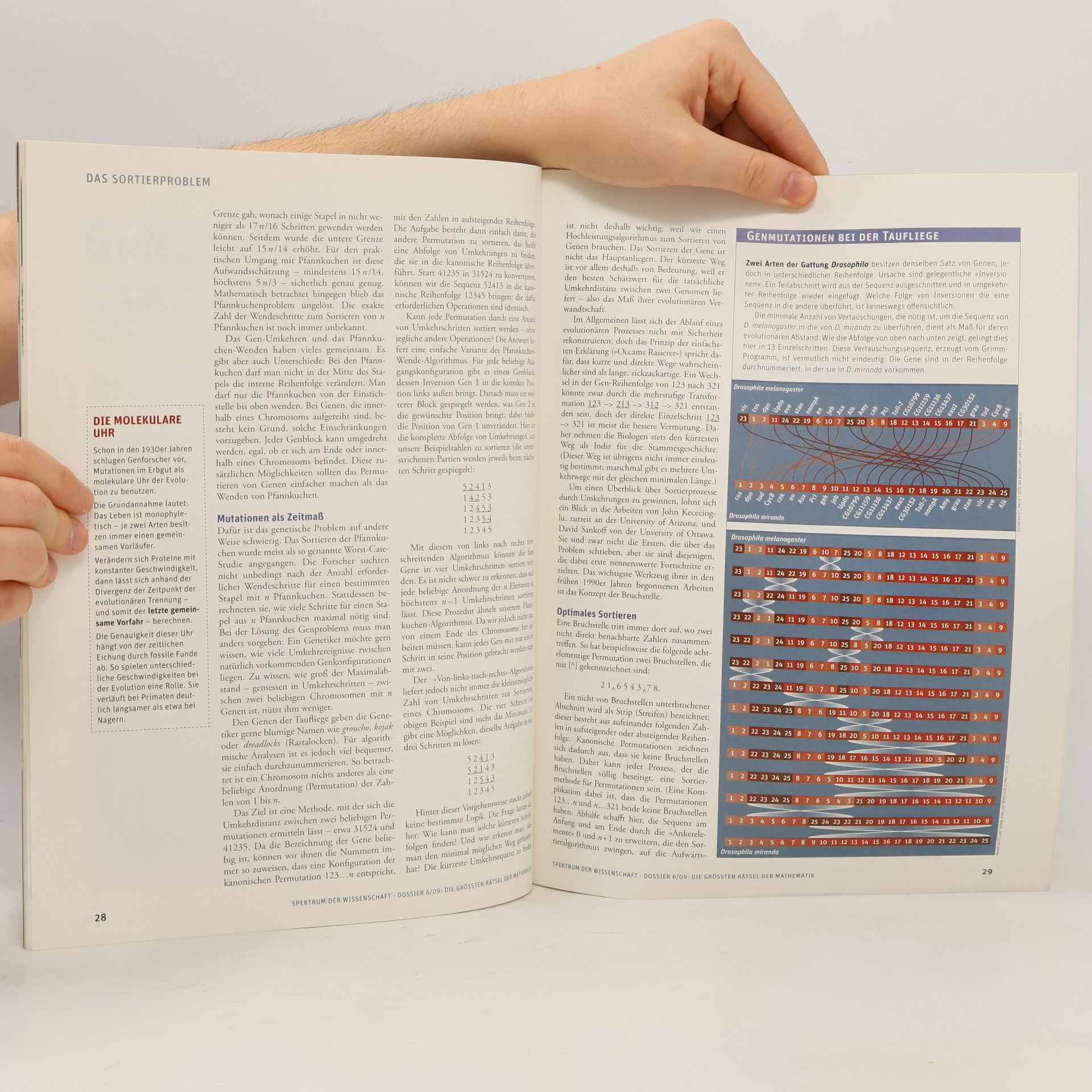 Die größten Rätsel der Mathematik