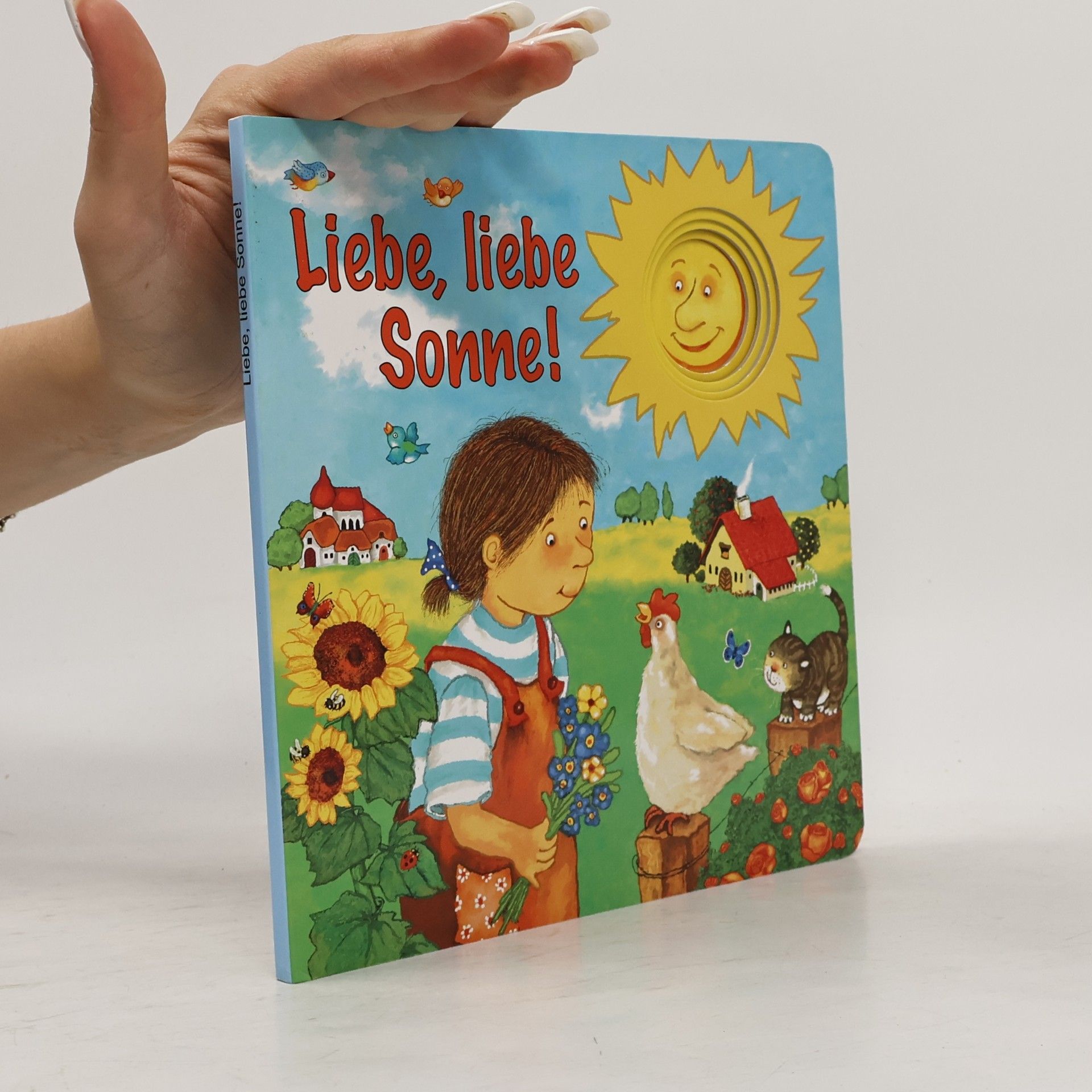 Das kleine Buch von der Sonne und vom Wetter