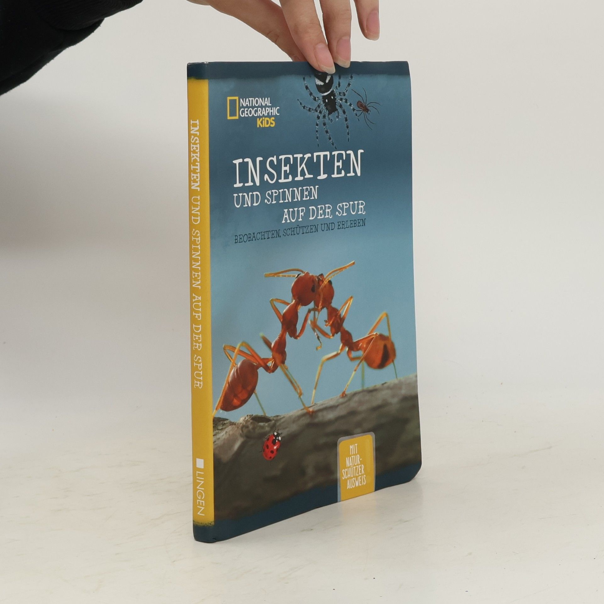 Autorenkollektiv Insekten und Spinnen auf der Spur