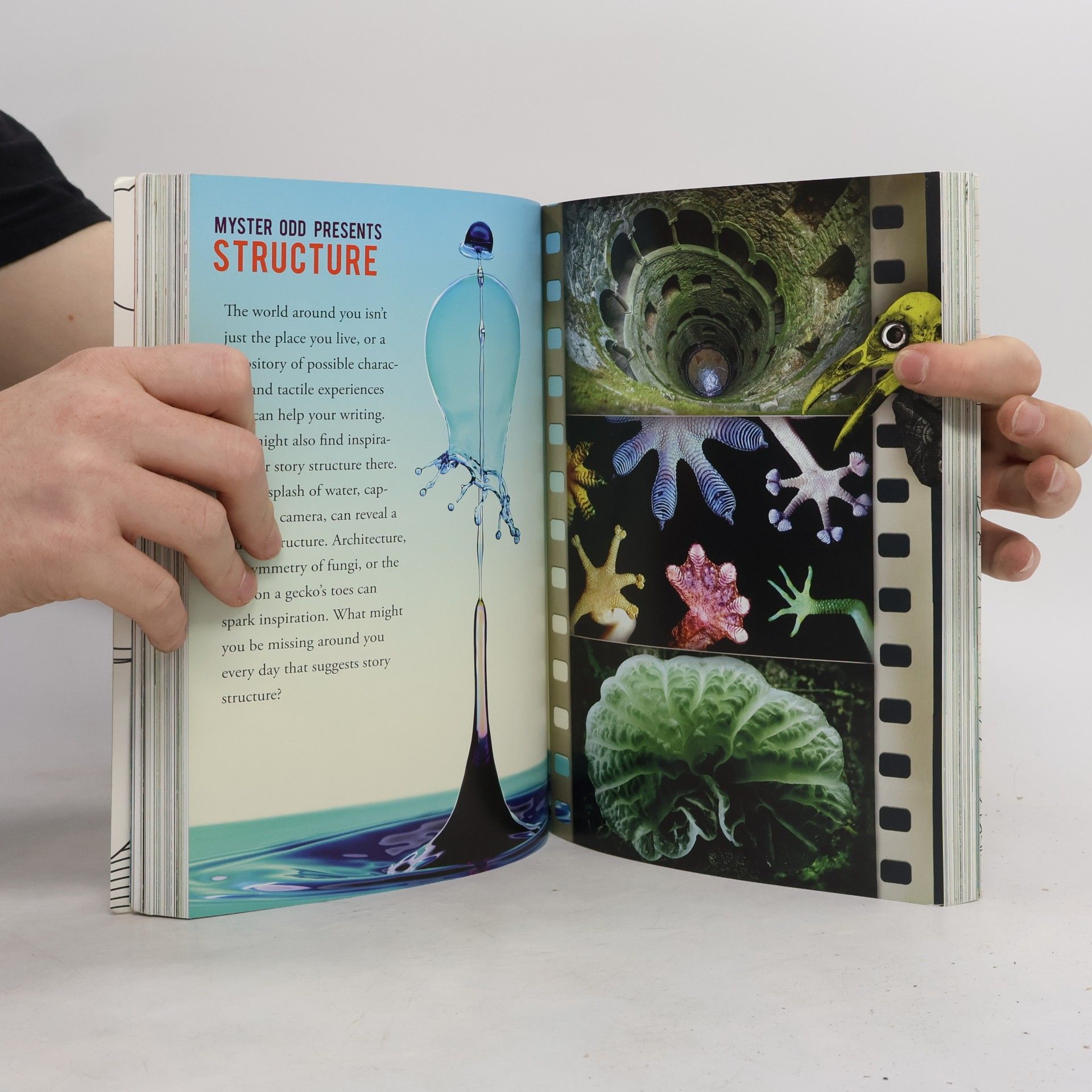 Jeff VanderMeer Wonderbook. The Illustrated Guide to Creating Imaginative Fiction