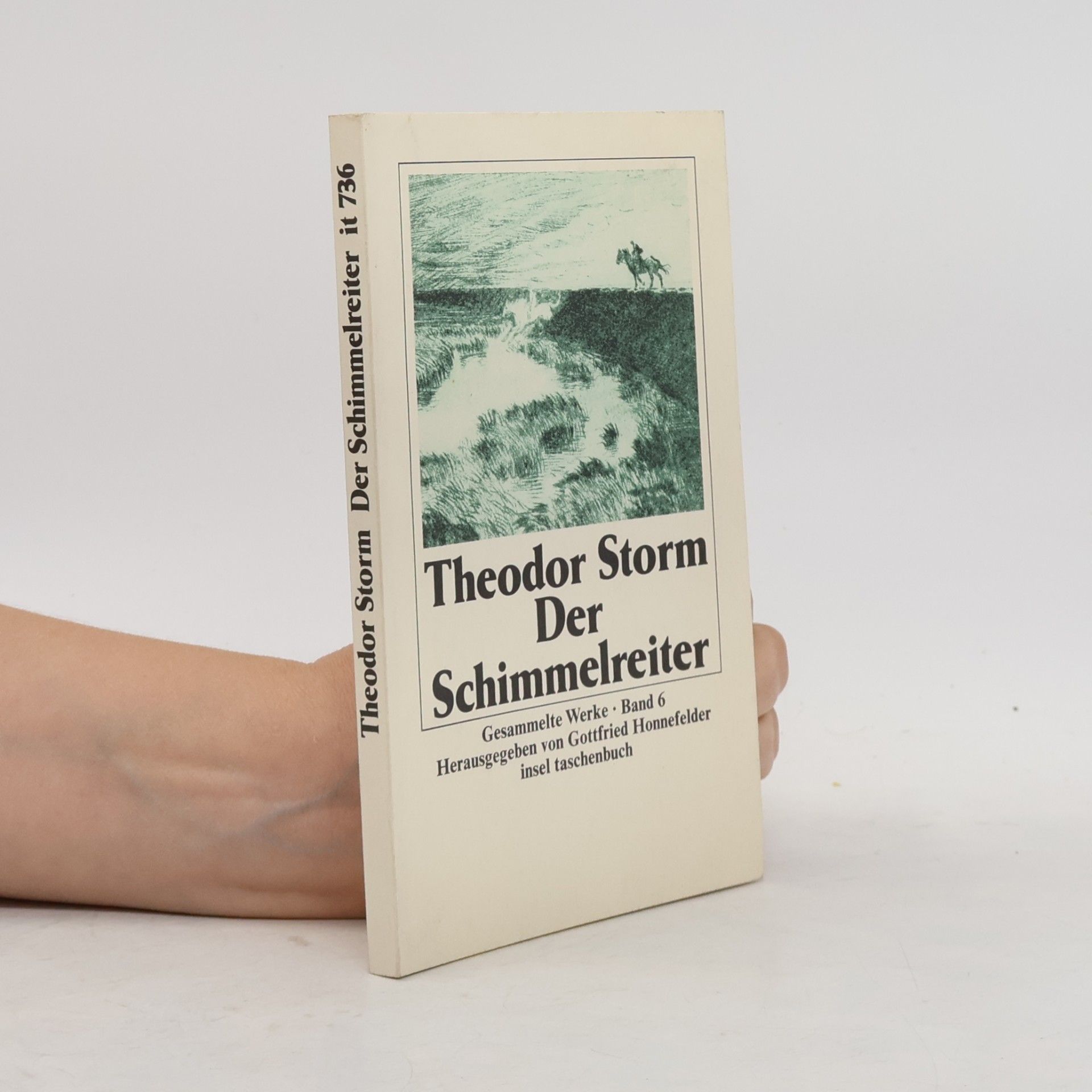 Theodor Storm Der schimmel Reiter