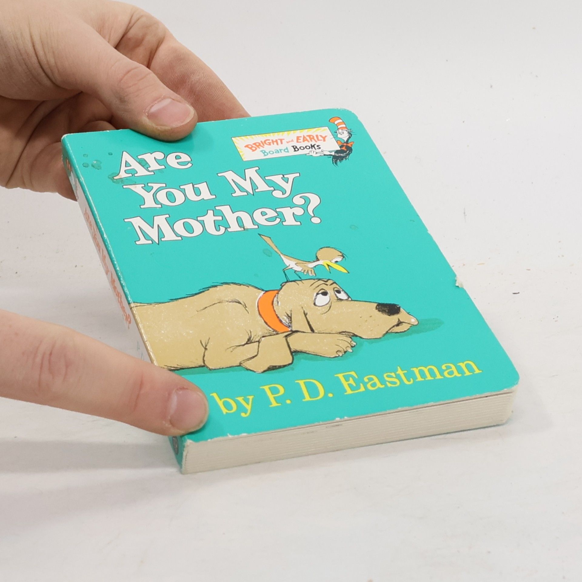 P. D. Philip D. Eastman Are You My Mother?
