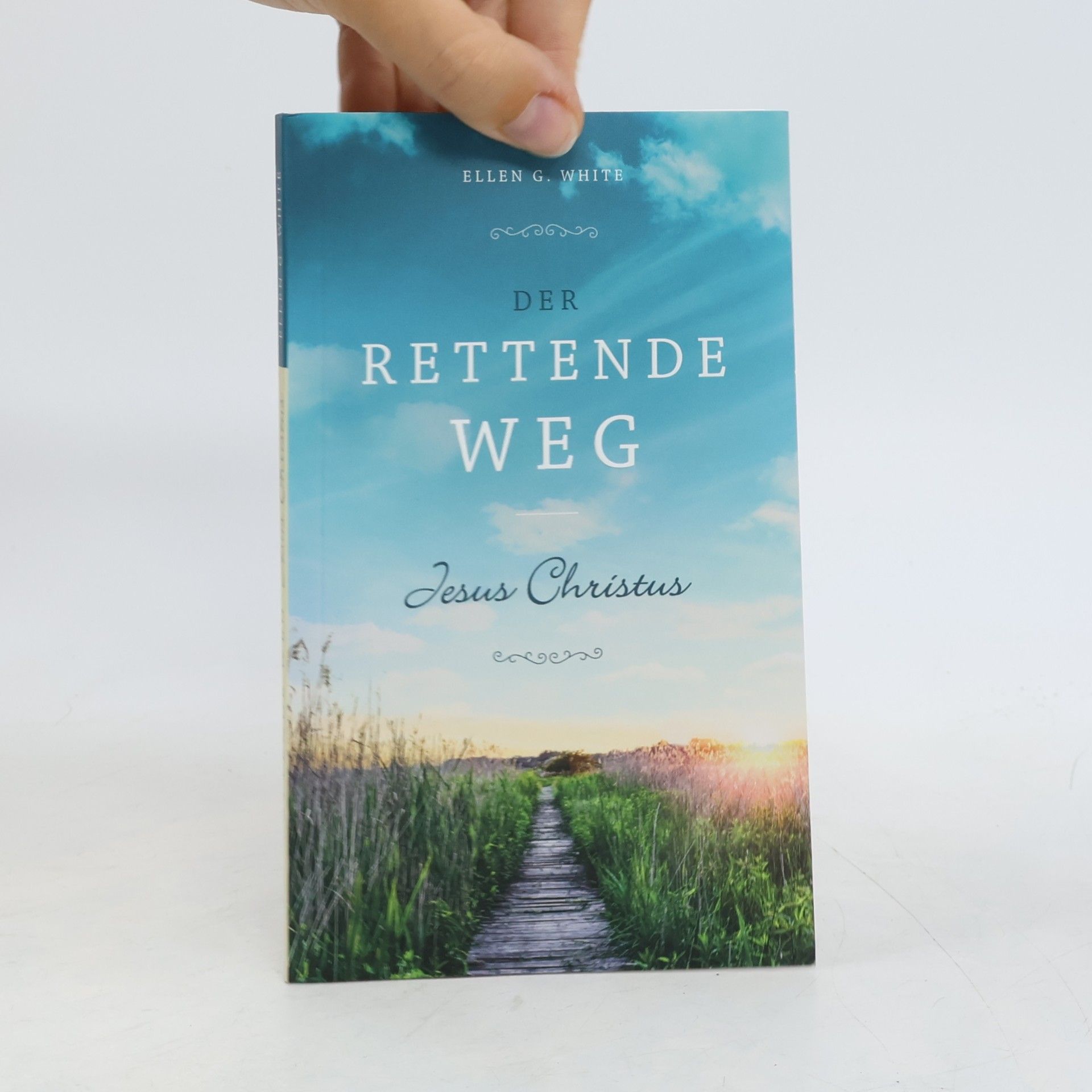 Der rettende Weg