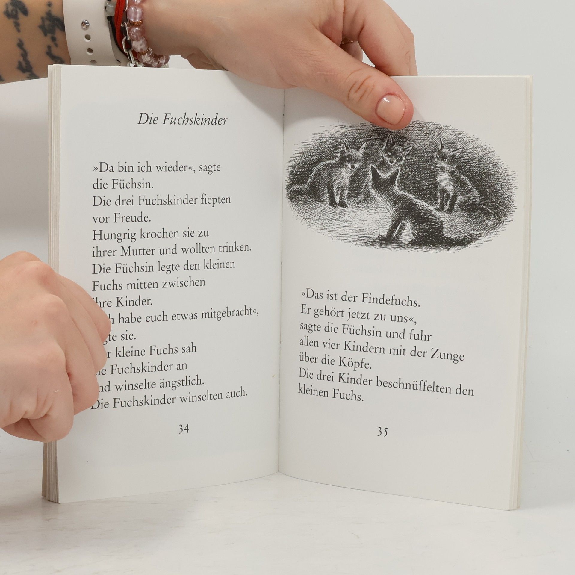 Der Findefuchs