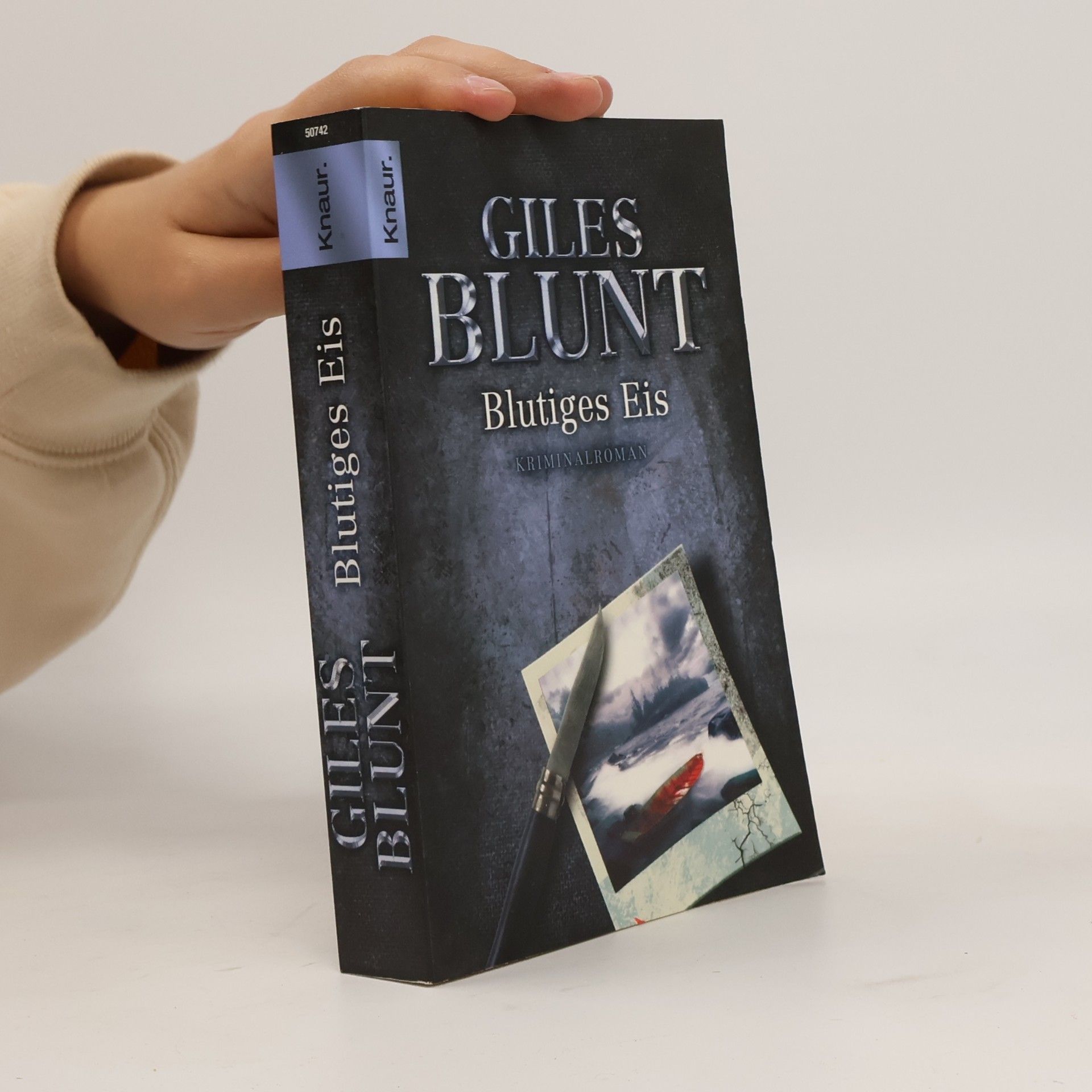 Giles Blunt Blutiges Eis