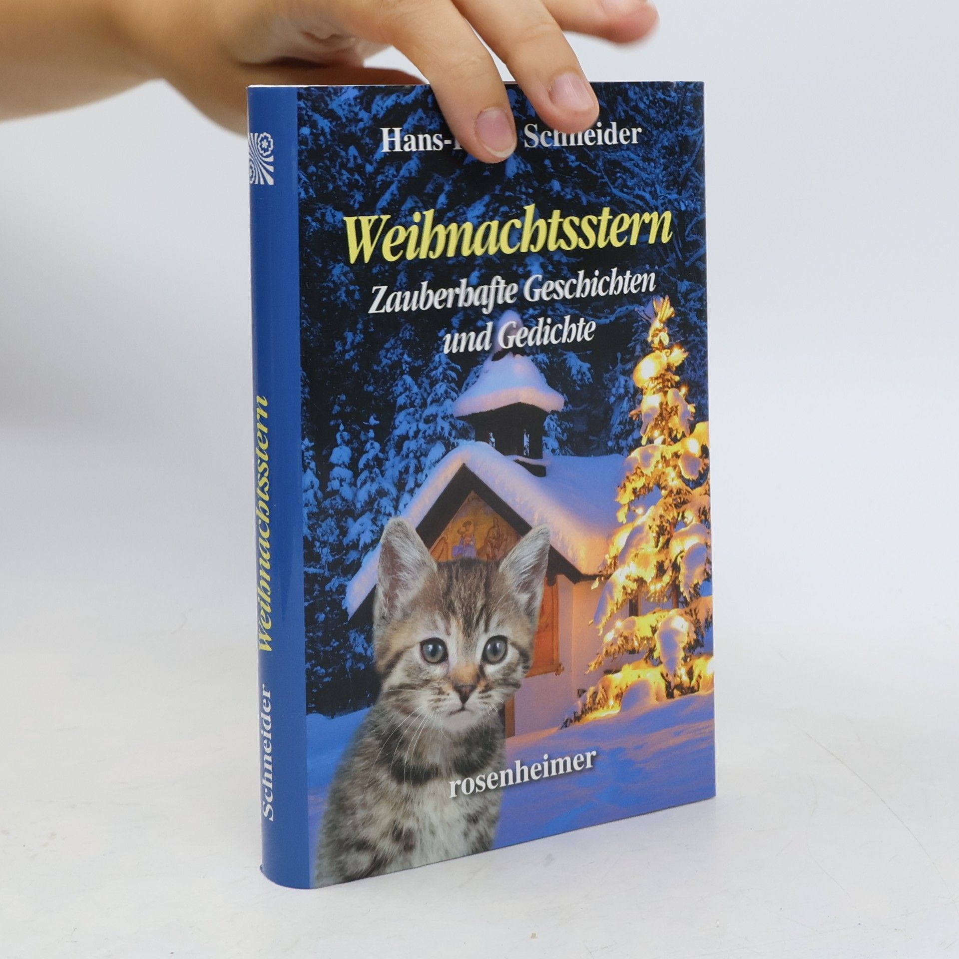 Hans Peter Schneider Weihnachtsstern