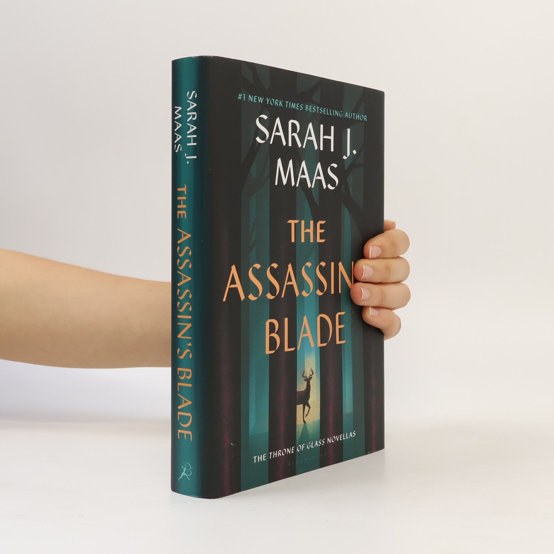 Sarah J. Maas The Assassin's Blade